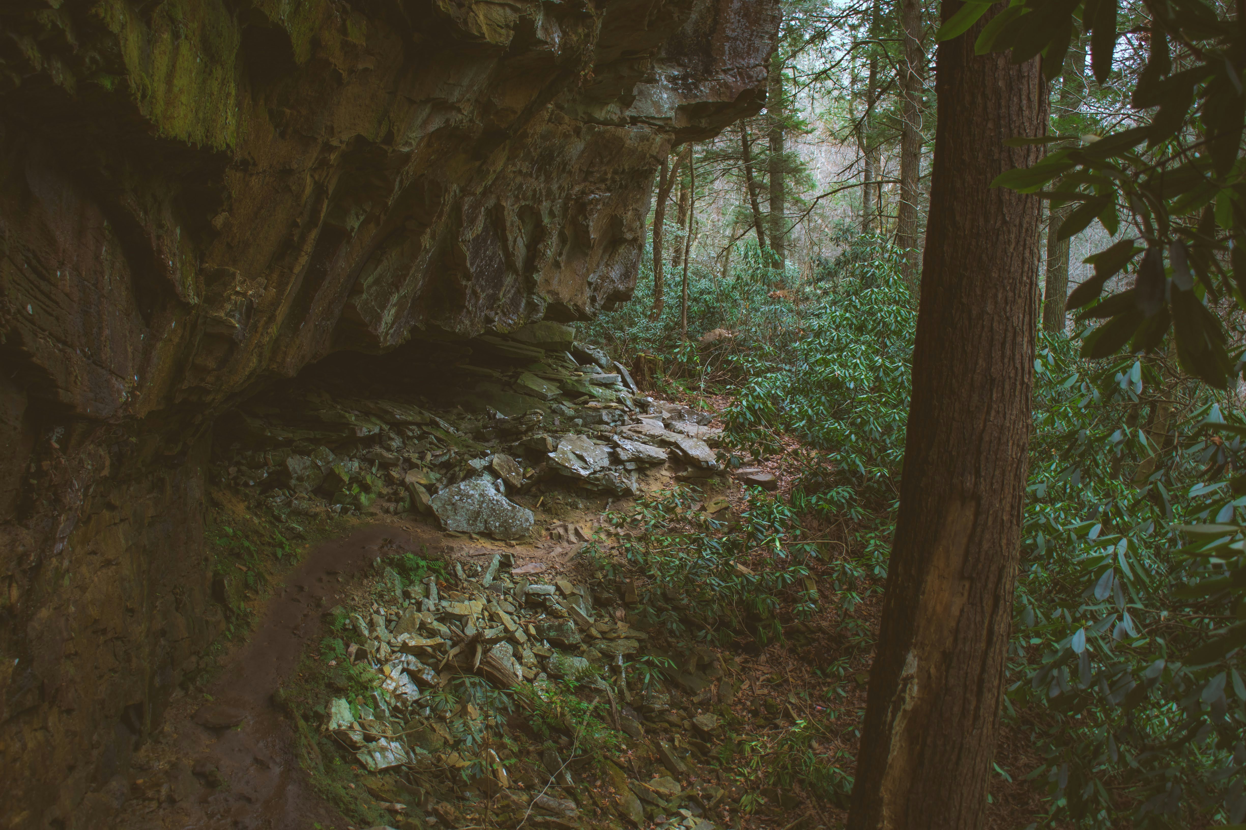 Photo by brice_cooper18