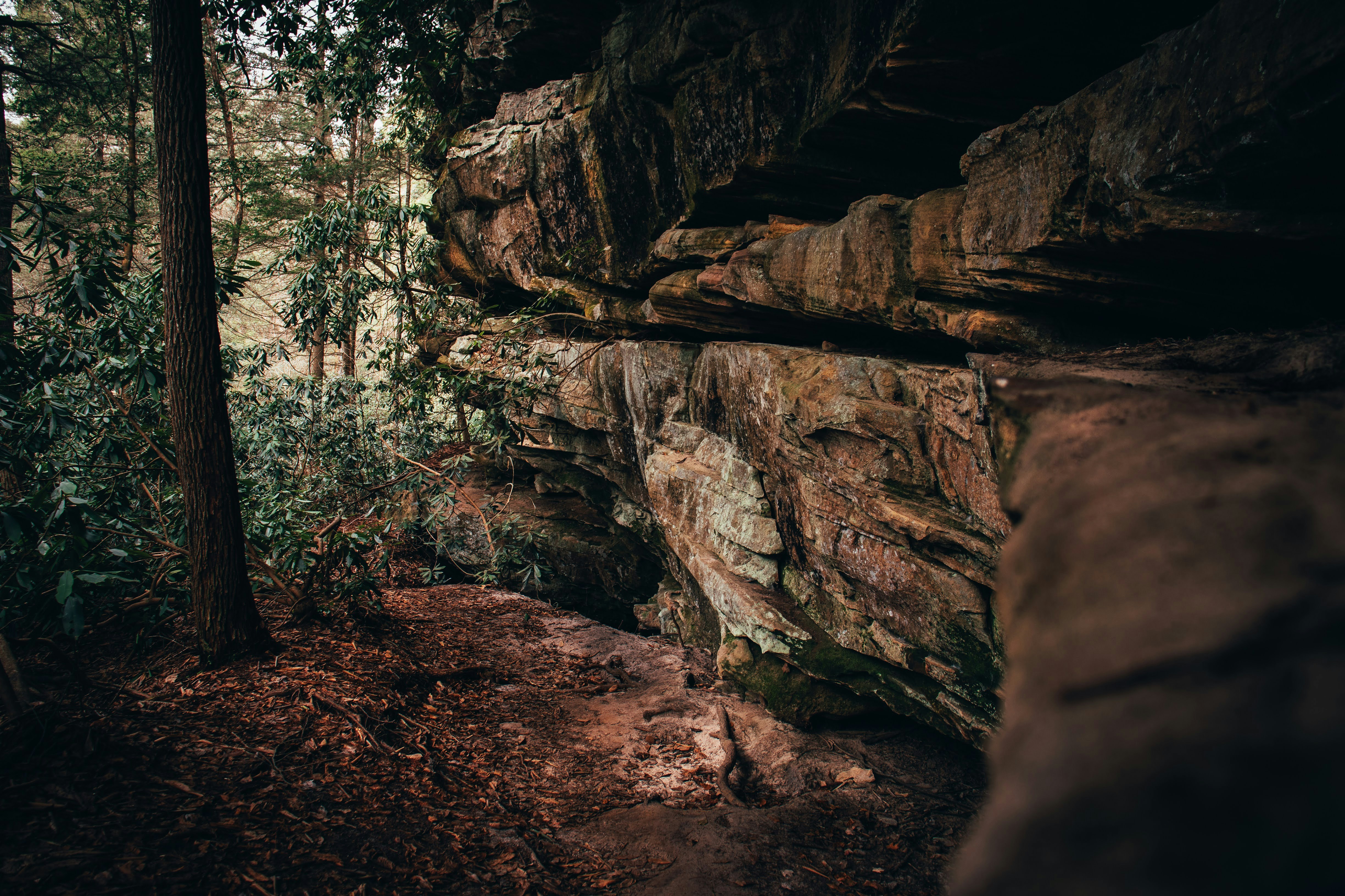 Photo by brice_cooper18