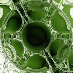 Reflective surface showing financial symbols intertwined with growth imagery.