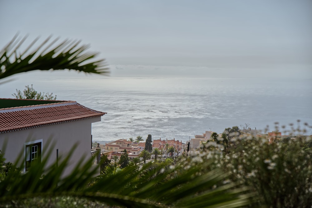 a view of a town and the ocean from a hill