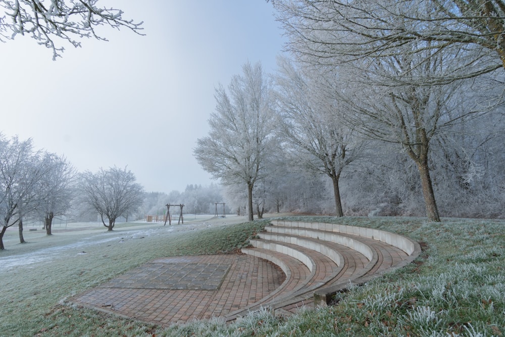 a path with trees on the side