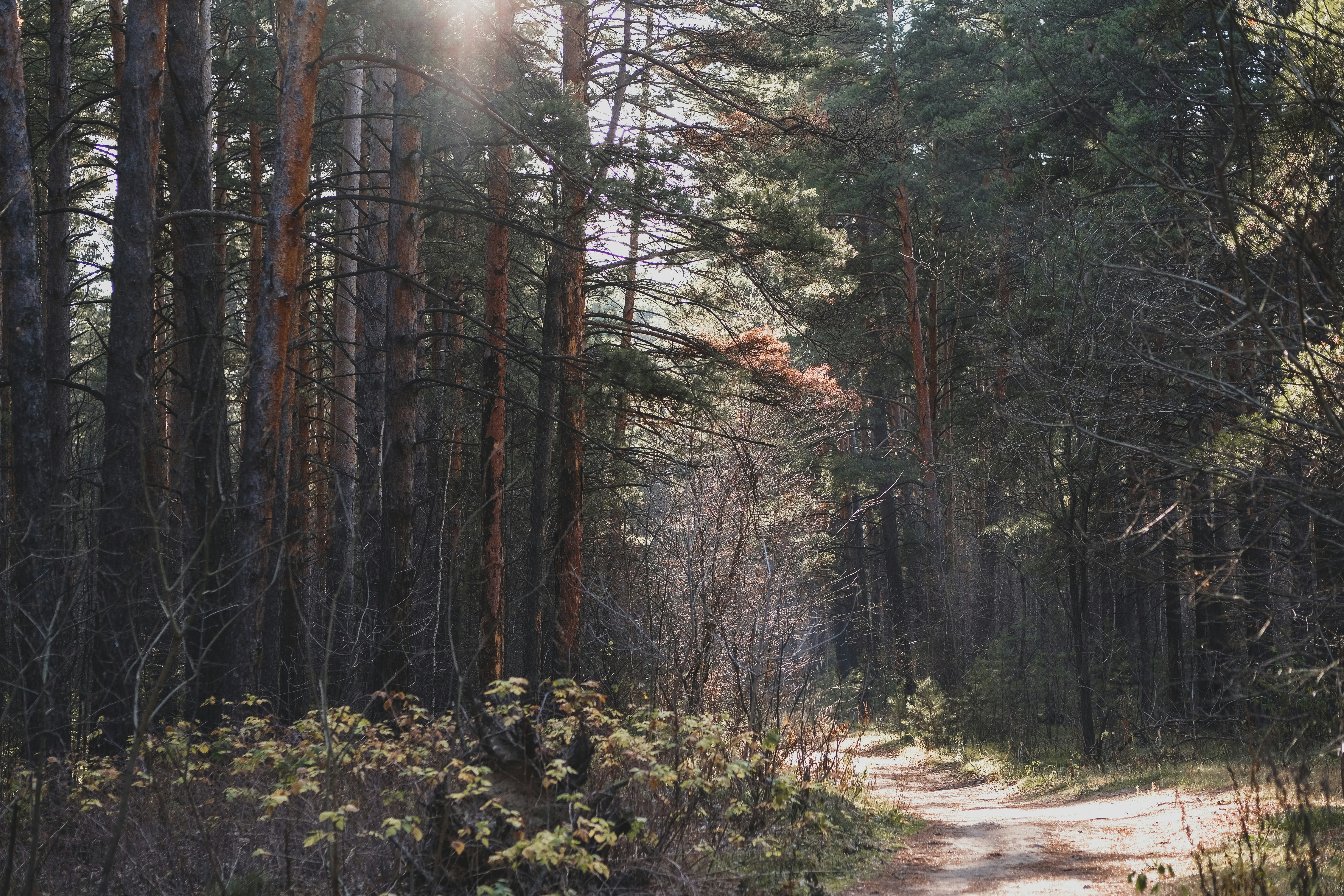 Photo by rolig_basseng