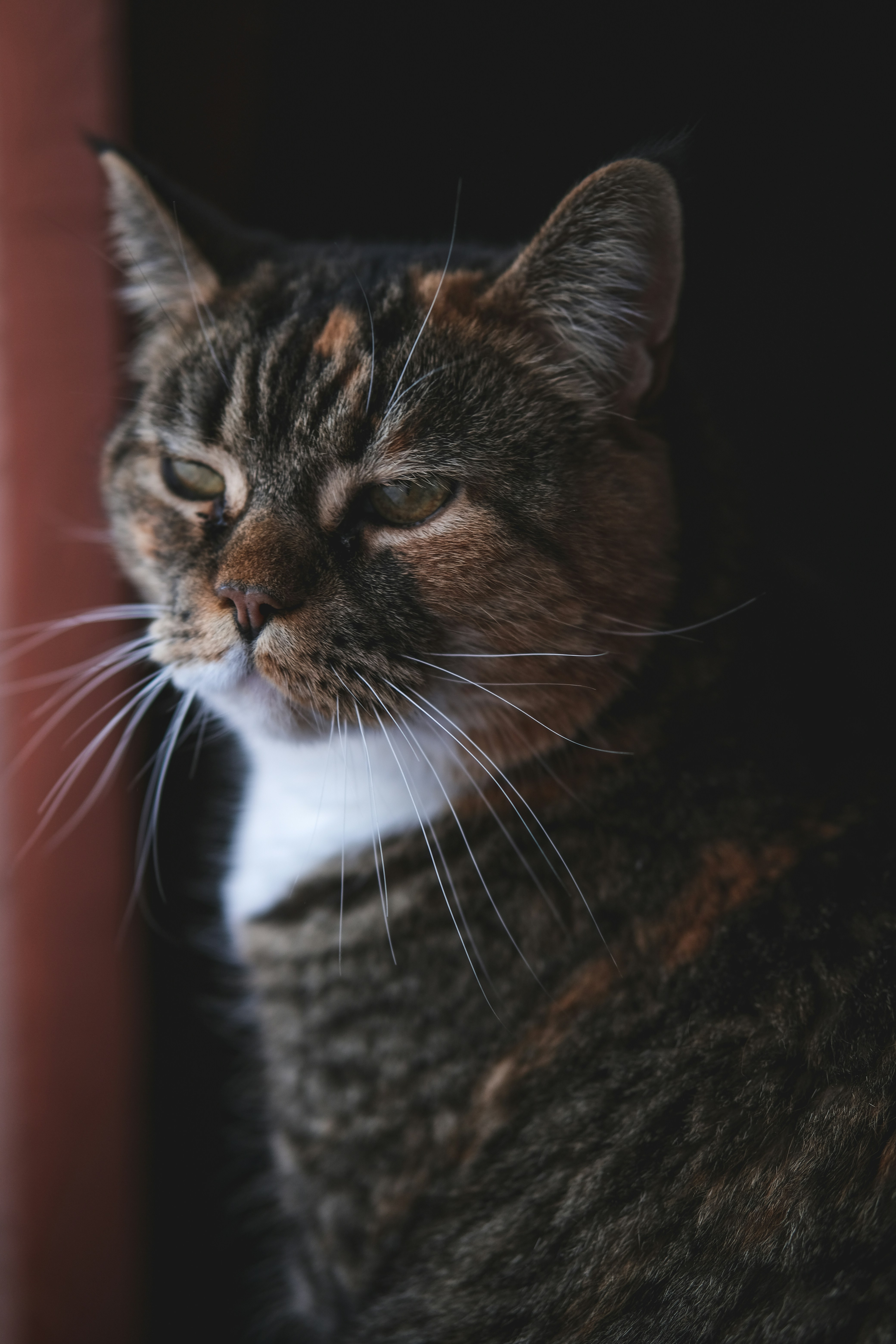 Photo by rolig_basseng