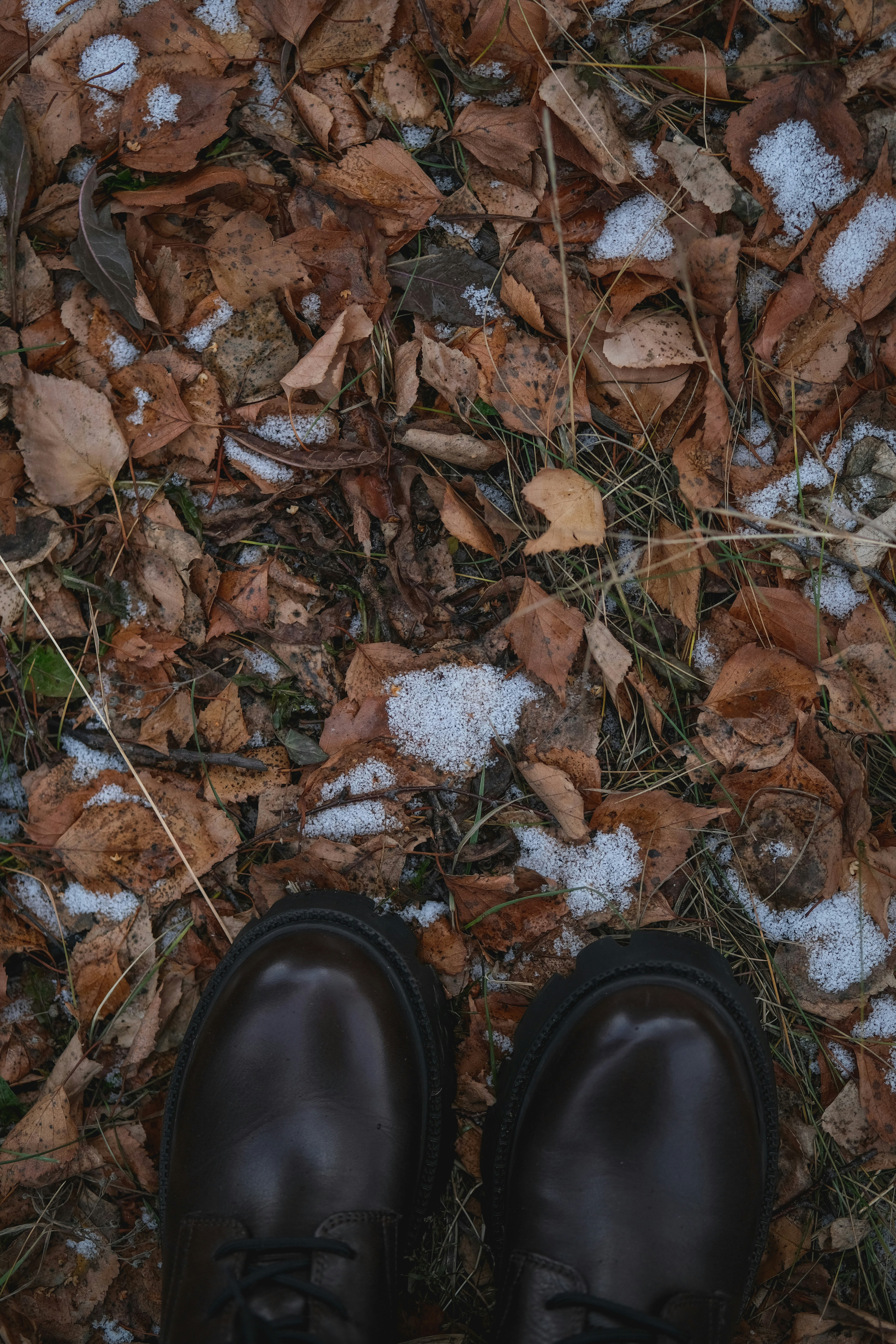 Photo by rolig_basseng