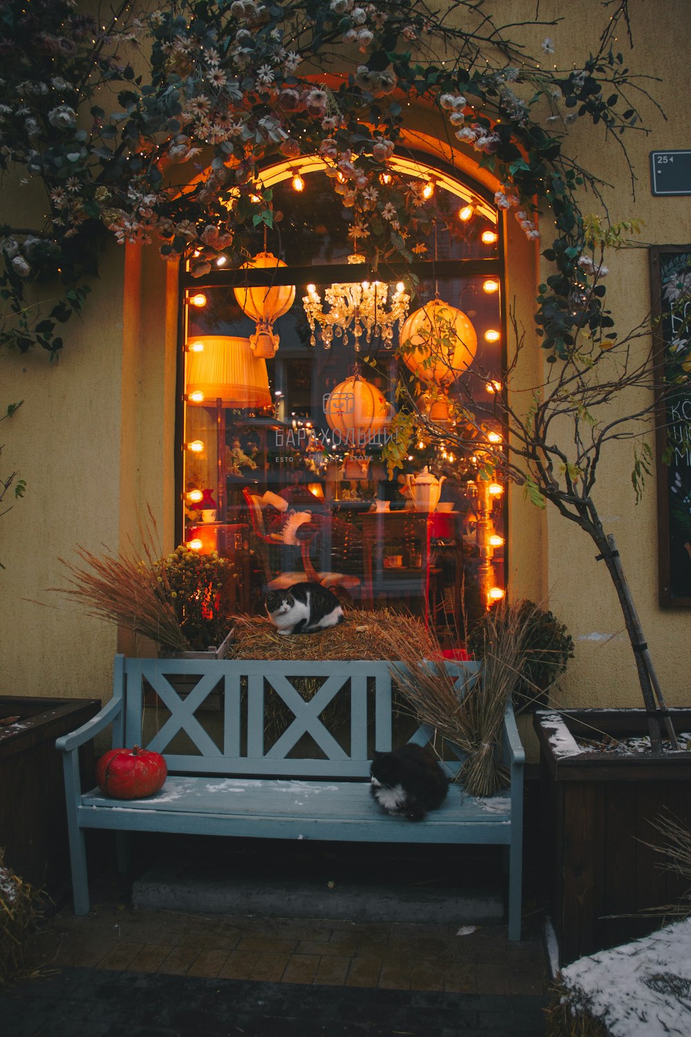 a window with a sign and a cat on it