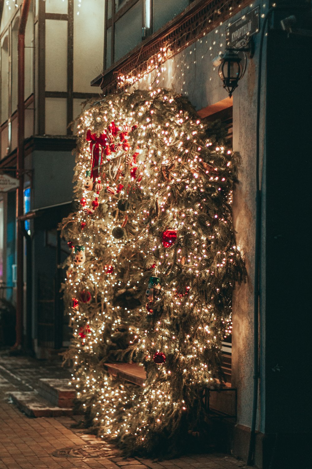 a tree with lights on it