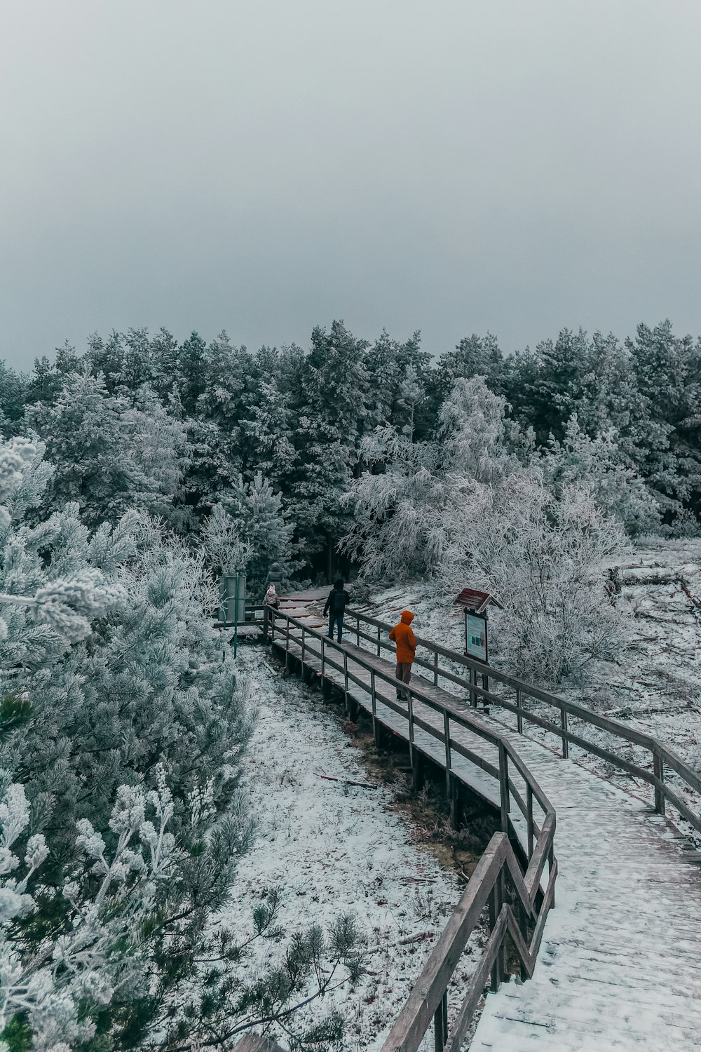 a person walking on a bridge over a snowy forest