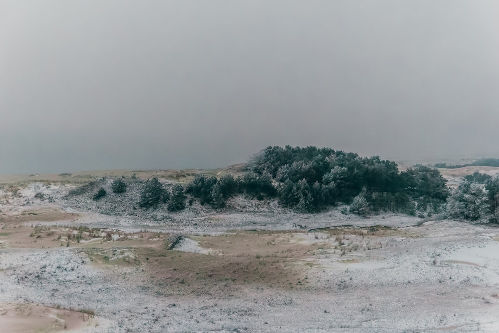 a landscape with snow and trees