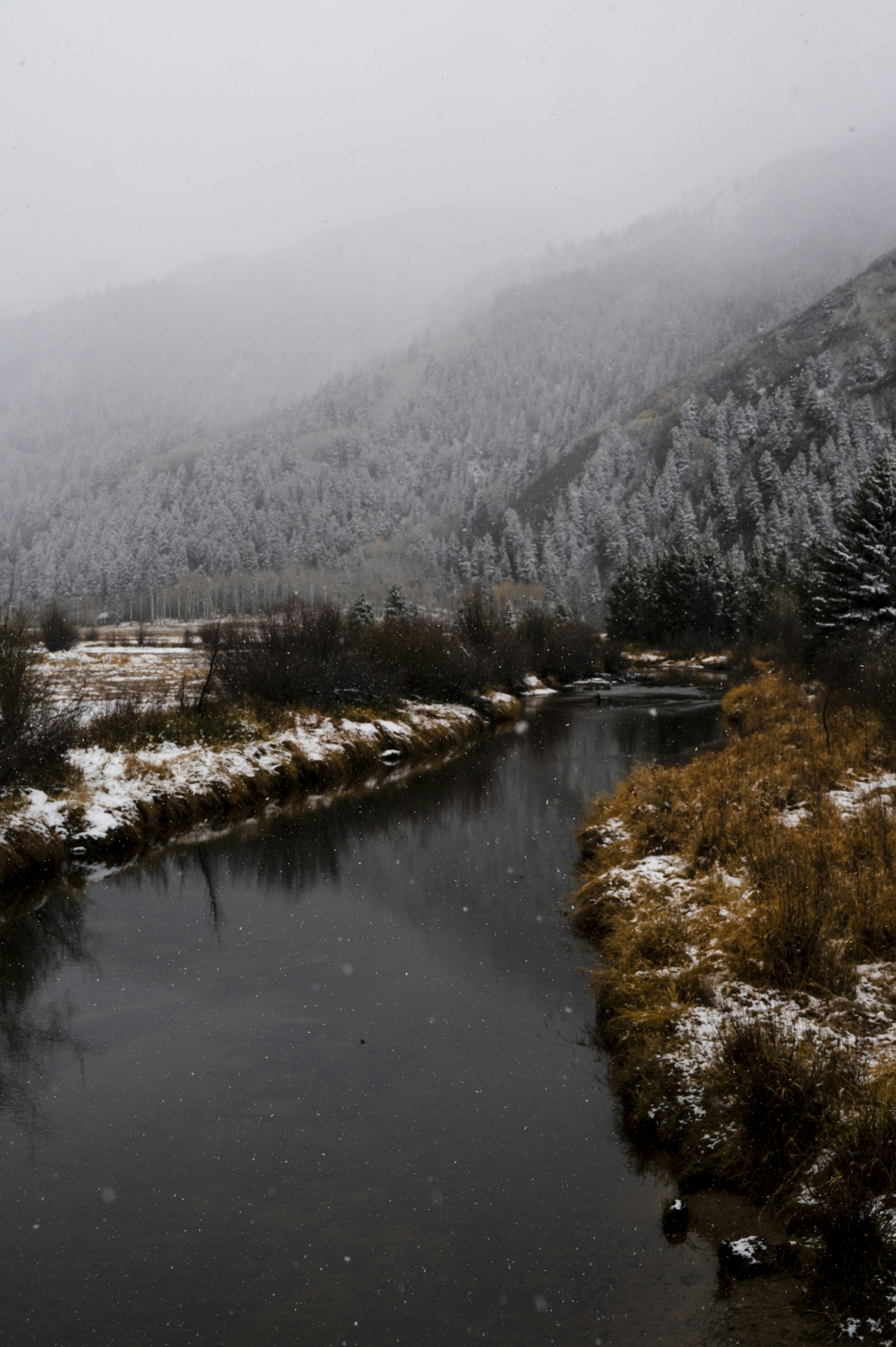 Photo by madisonkuhn