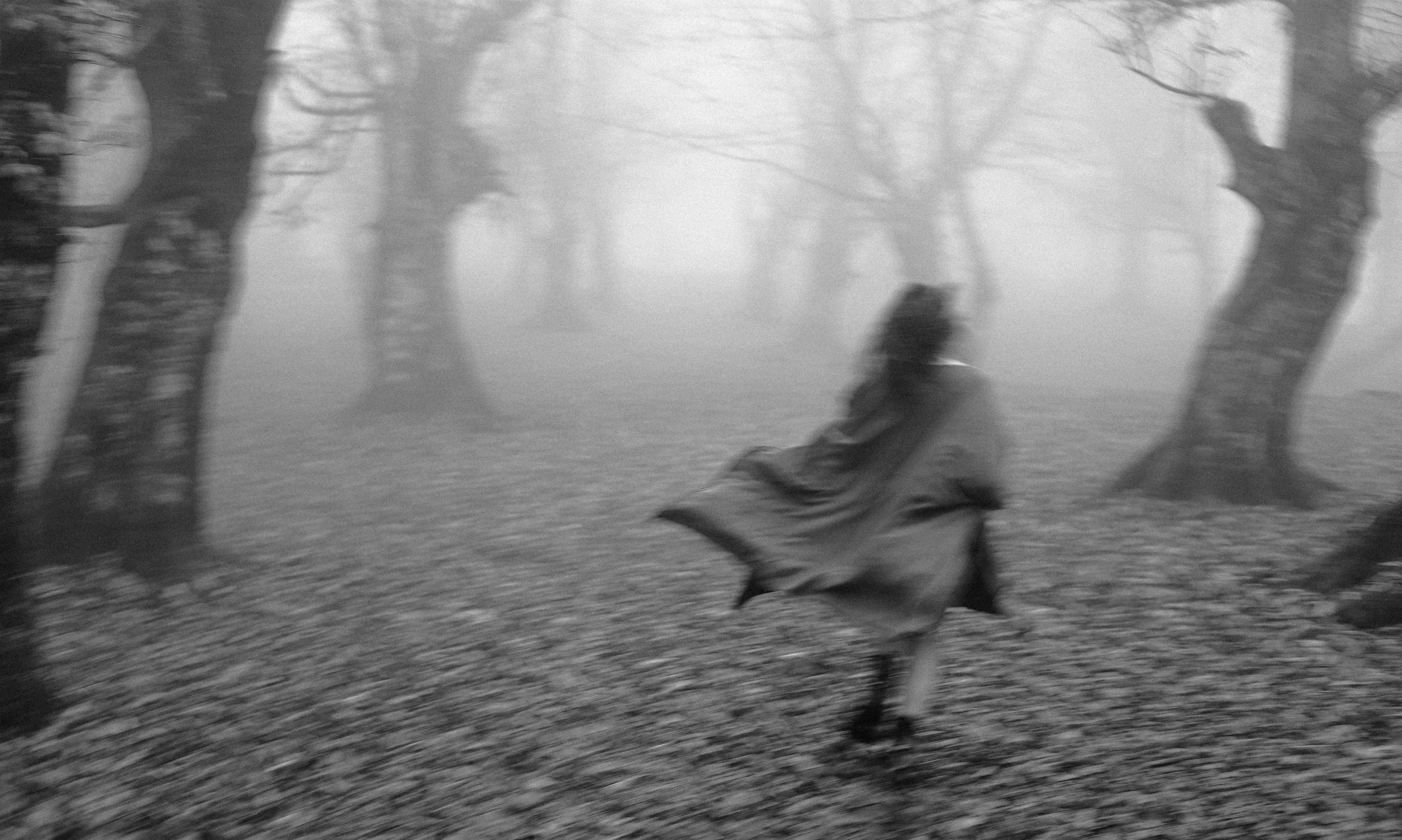 Photo by shahinkhalaji