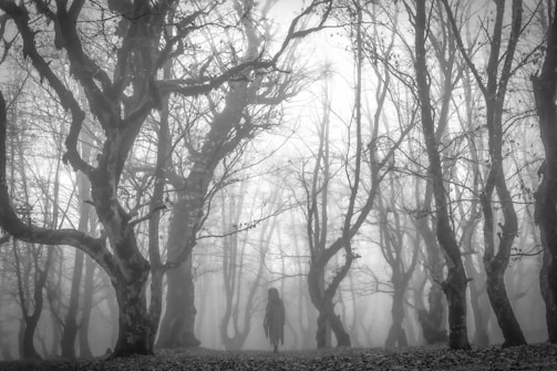 A misty forest at twilight with a shadowy figure in the distance.