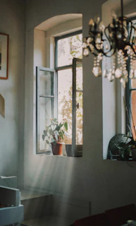 An open window letting in sunlight with potted plants catching the rays.