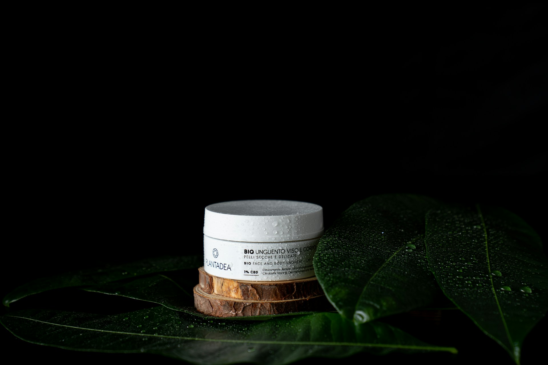 a small white container on a green leaf