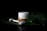 A jar of bio face cream is placed on a wooden coaster surrounded by large, glossy green leaves covered in water droplets. Nearby, a white marble face roller with gold accents rests on the leaves, creating a serene and luxurious spa-like atmosphere.
