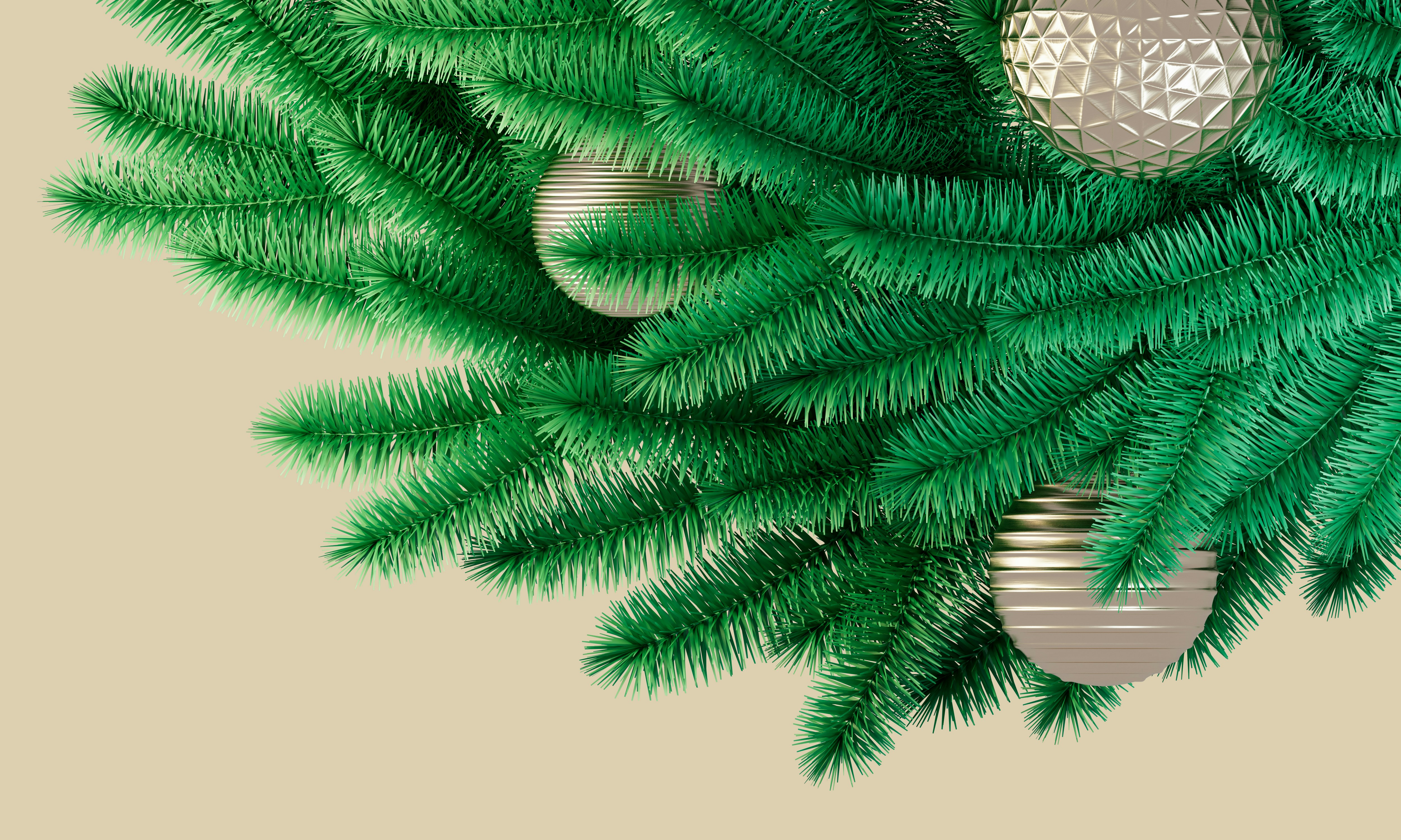 a green and blue feather