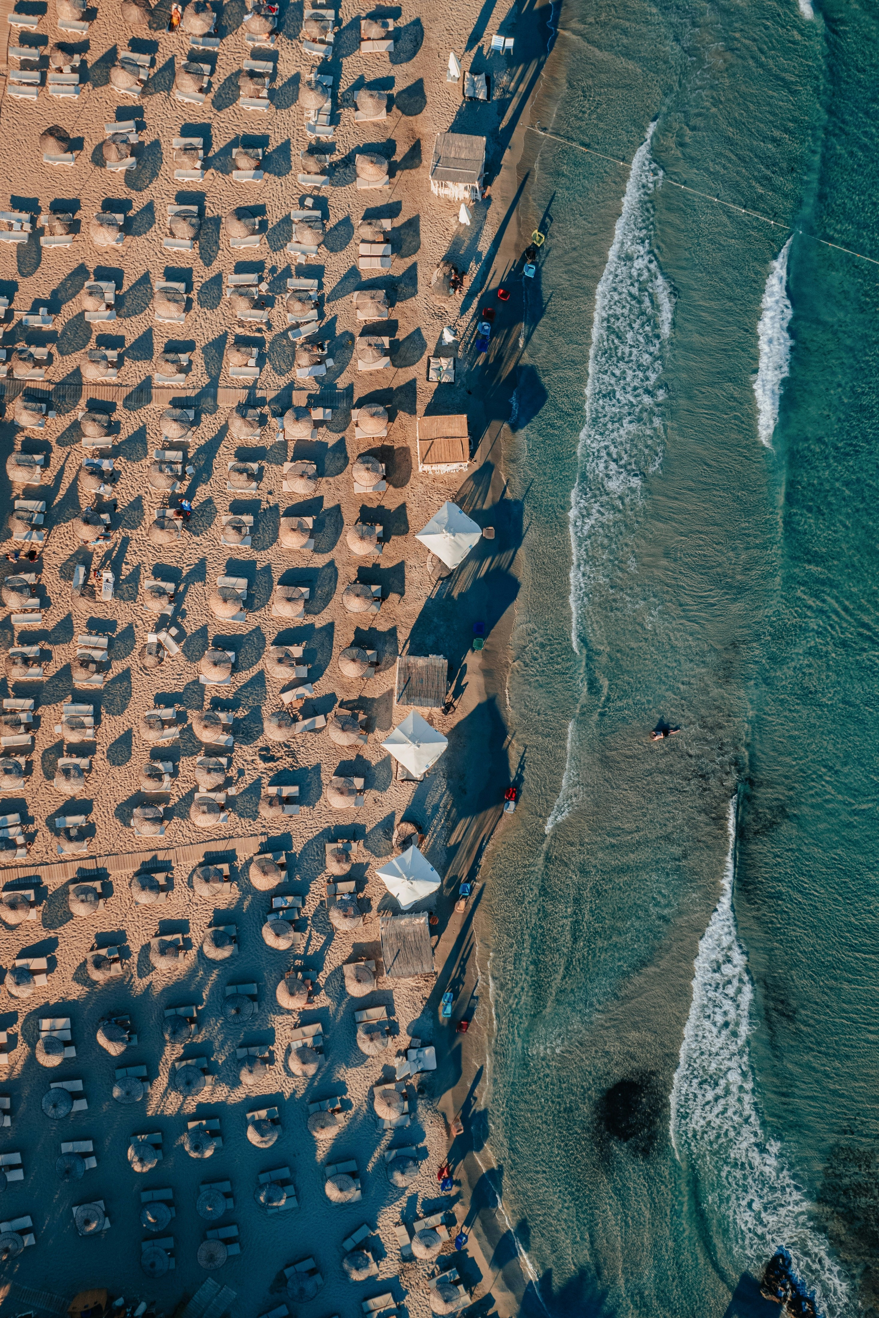 a large group of people on a dock
