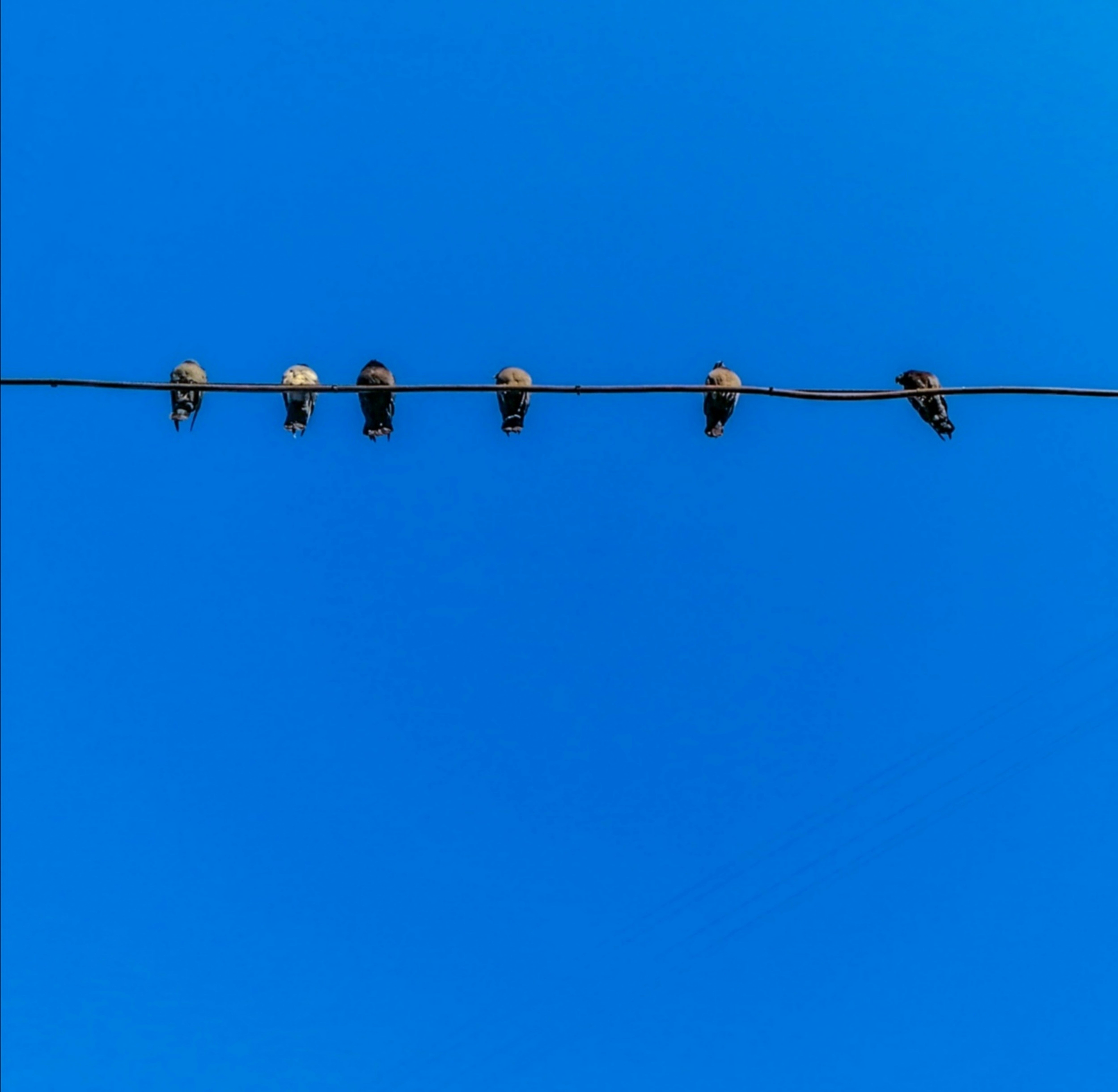 Photo by mariamaximova