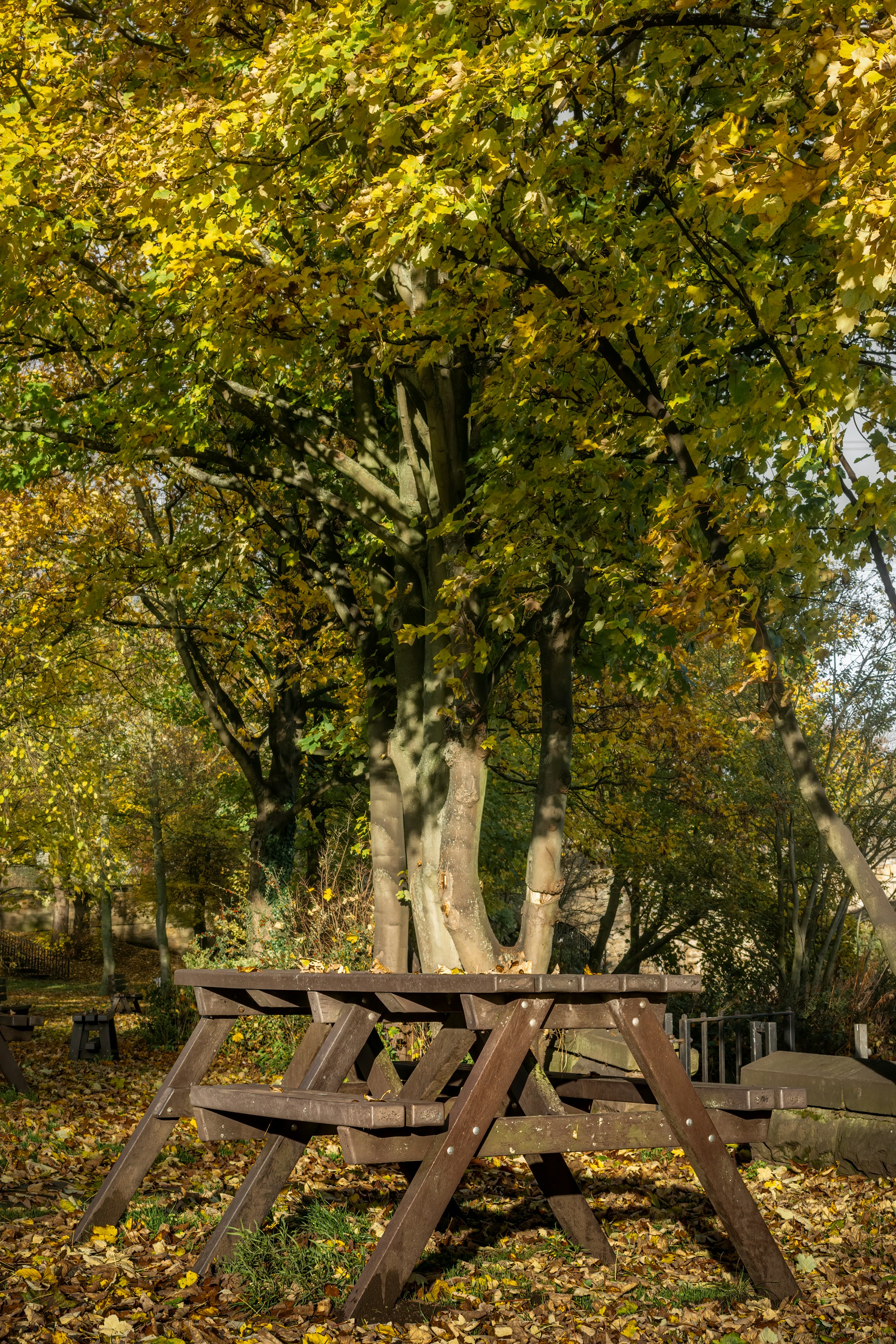 Photo by jason_atack