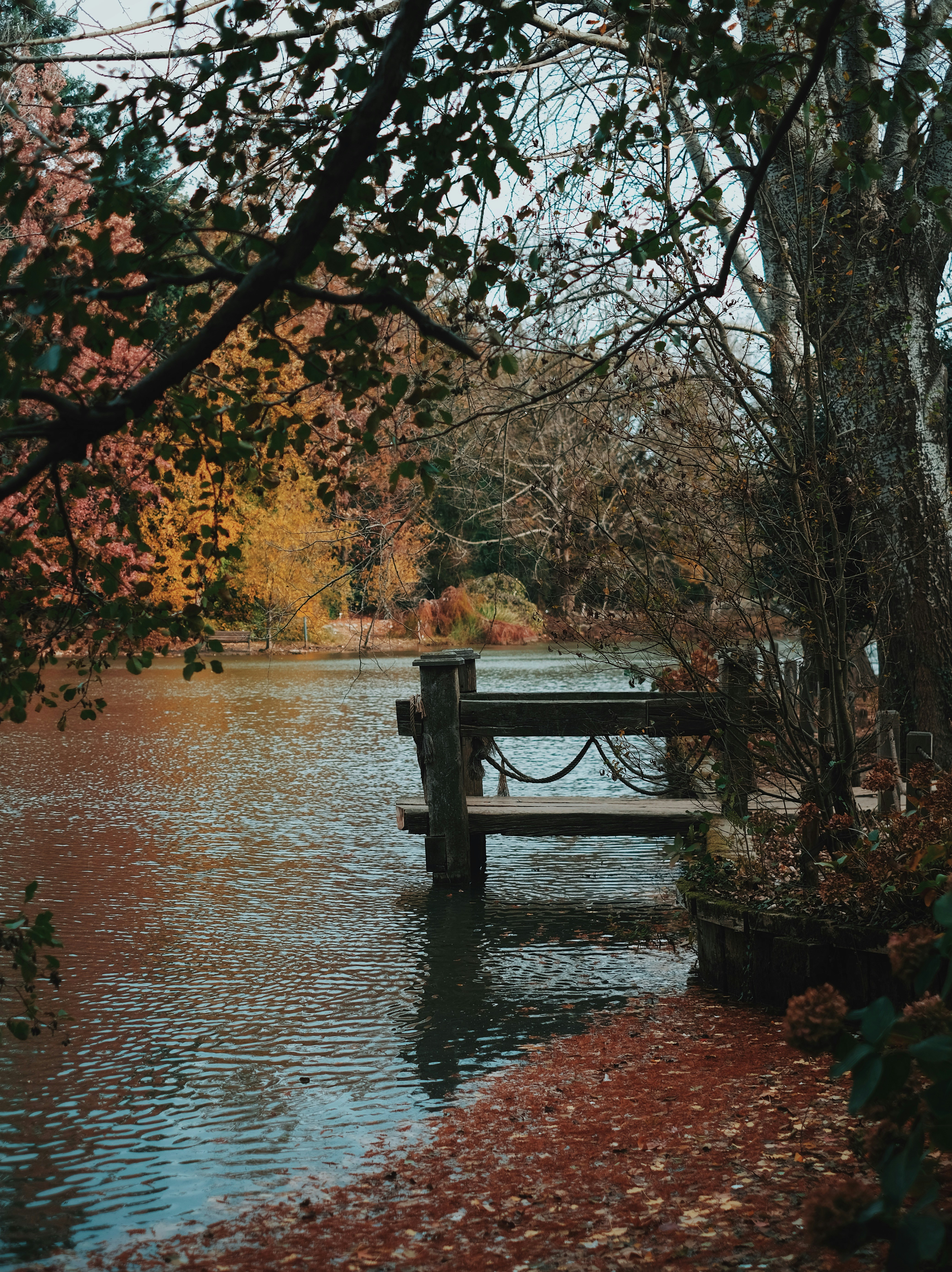 Photo by iamhogir