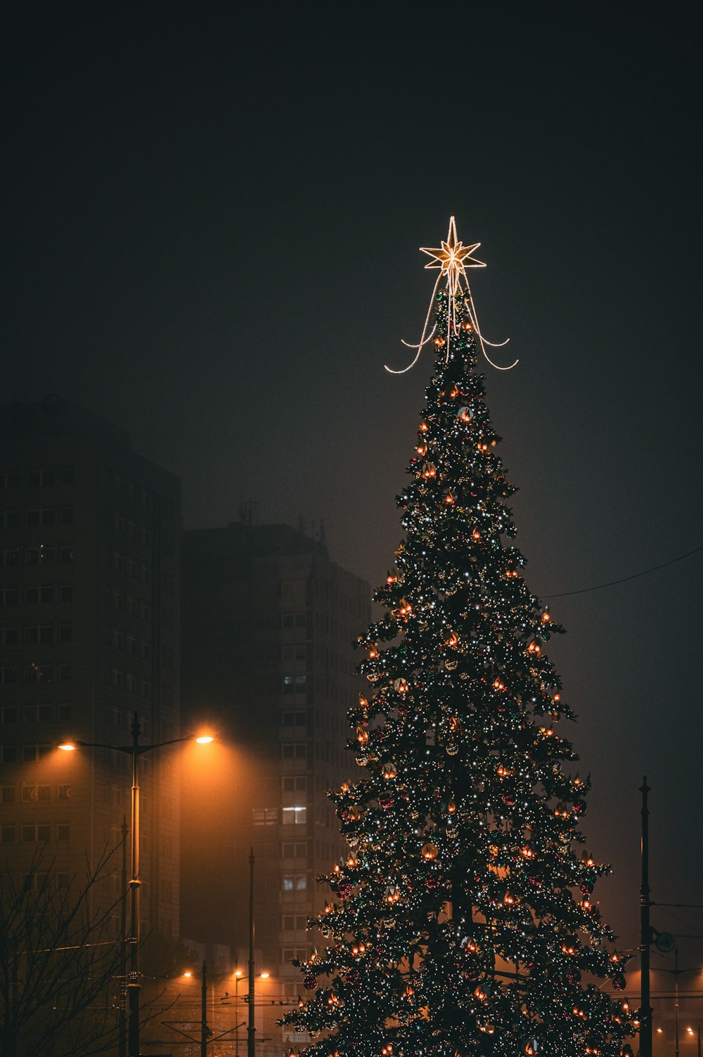 a tall christmas tree in a city