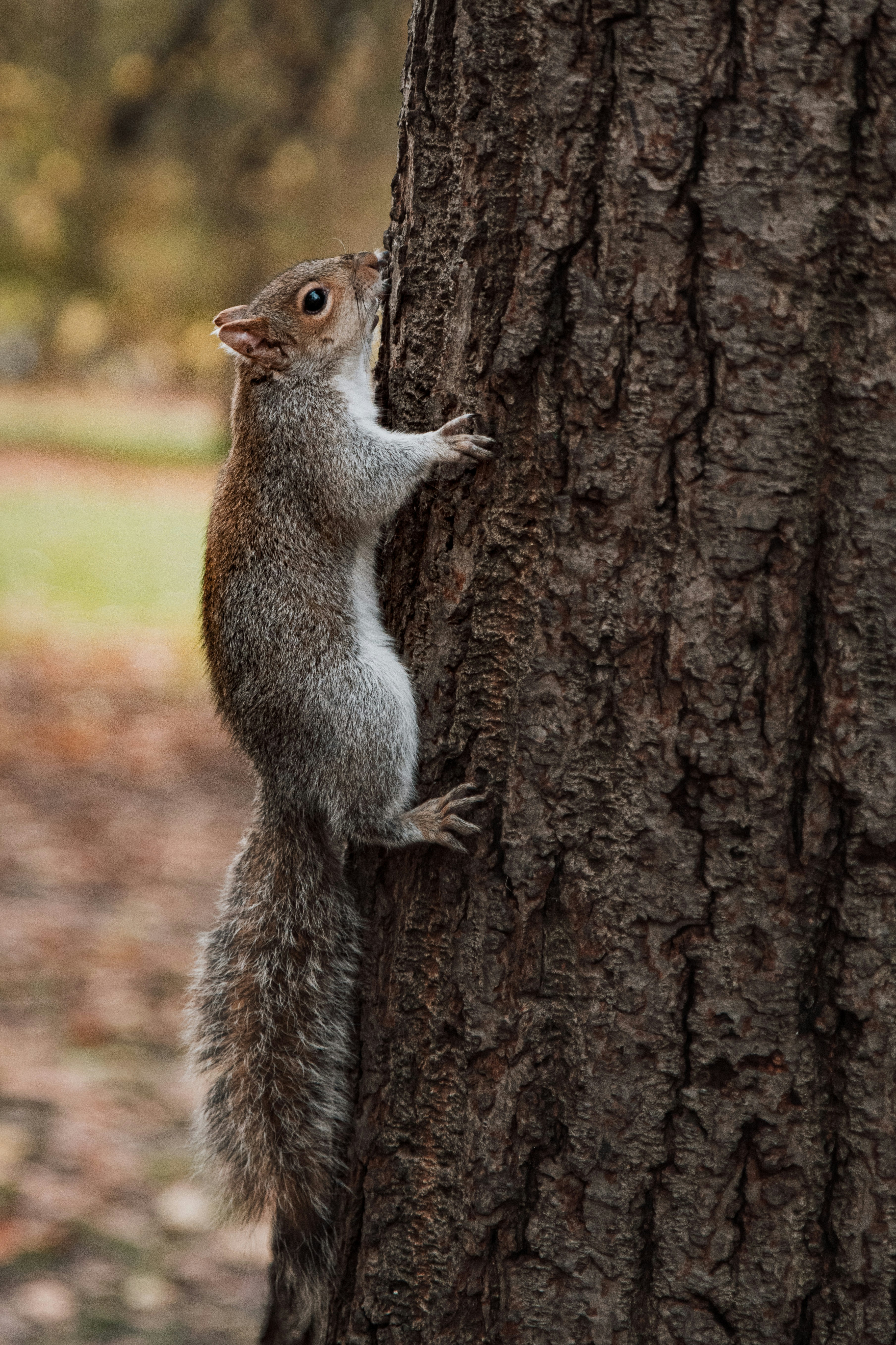 Photo by anitaaustvika