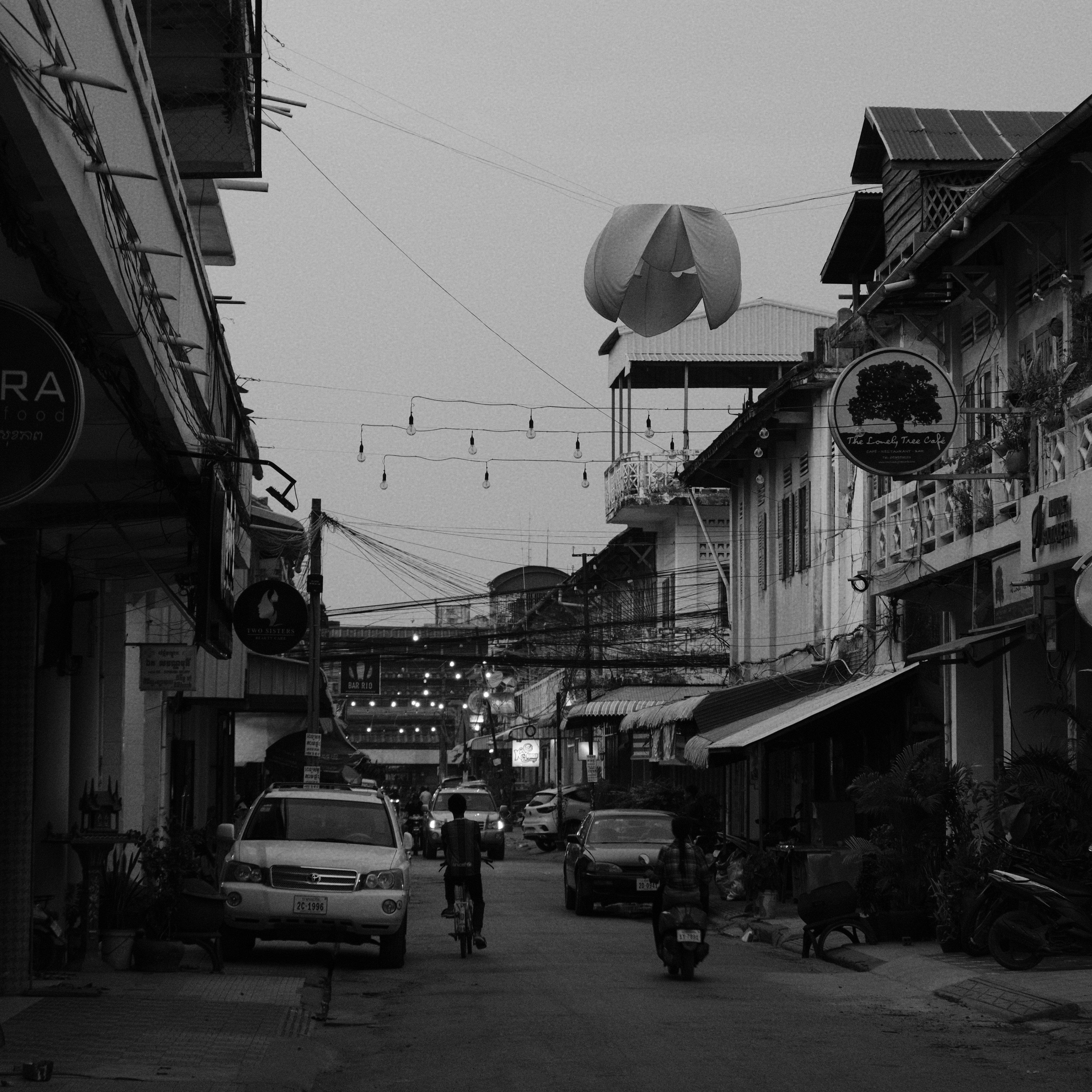 Photo by shanewester