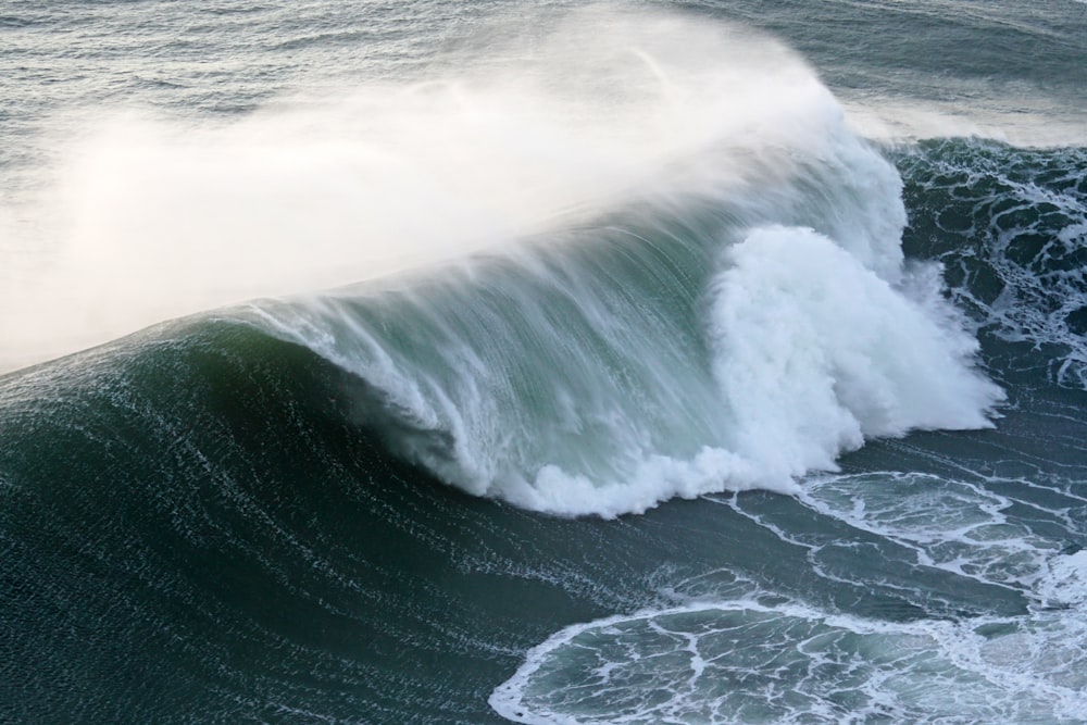 a wave in the ocean