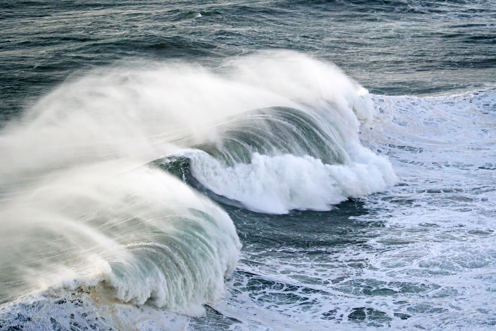 a wave in the ocean