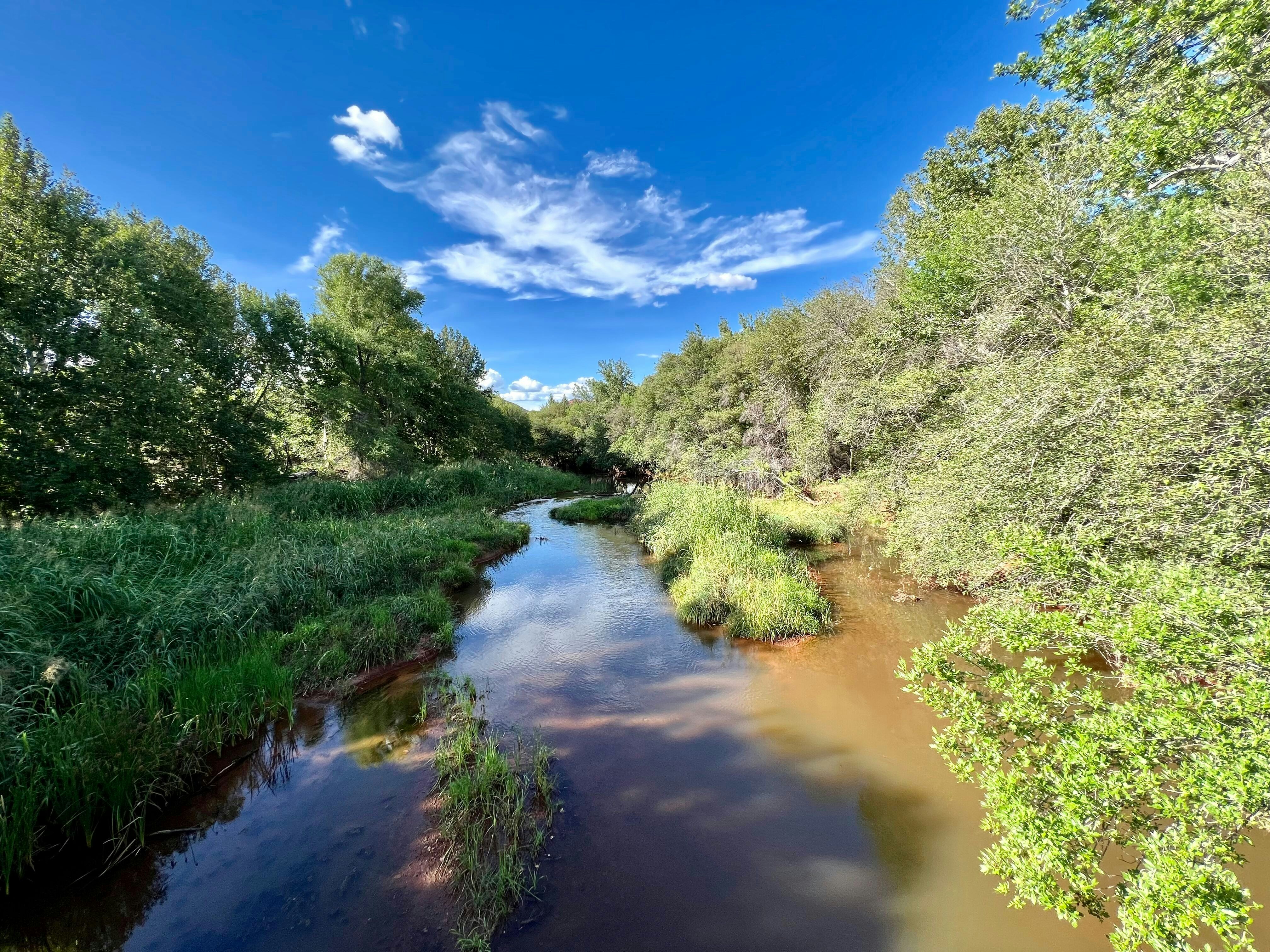 a river with trees on the side, 