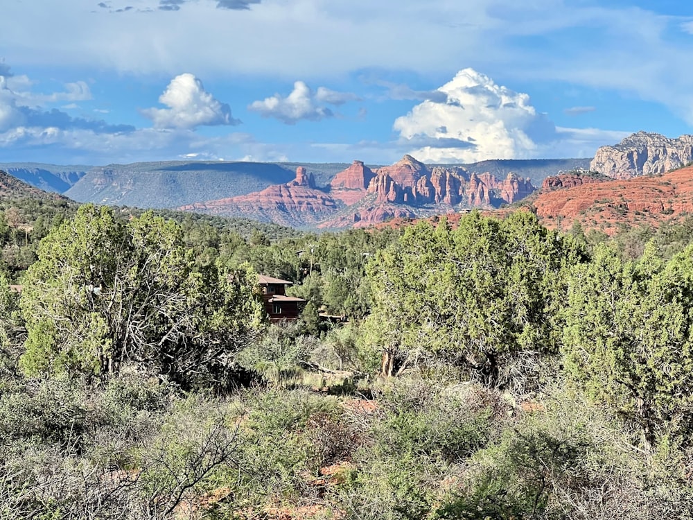 a landscape with trees and mountains in the background