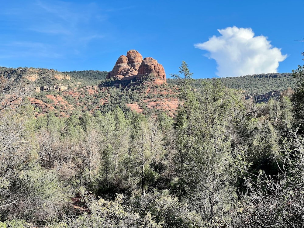 a rocky mountain with trees