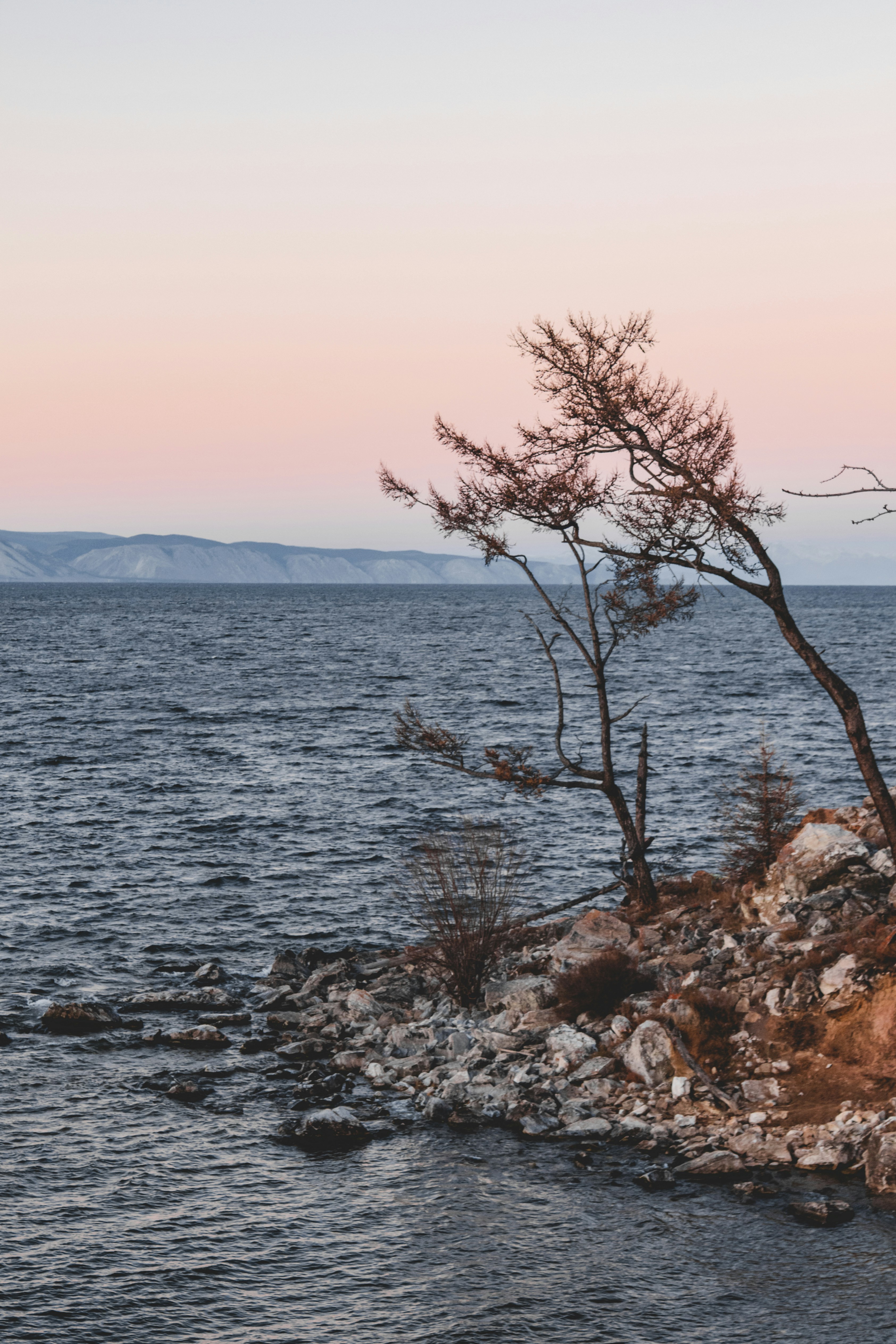 Photo by sam_badmaeva