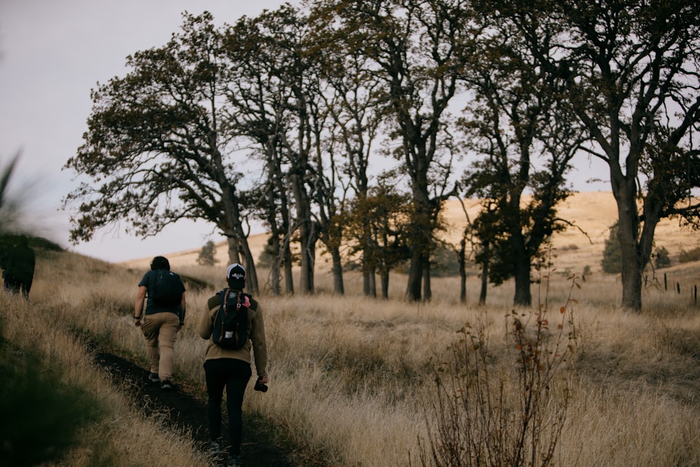 a group of people walking on a trail through a field