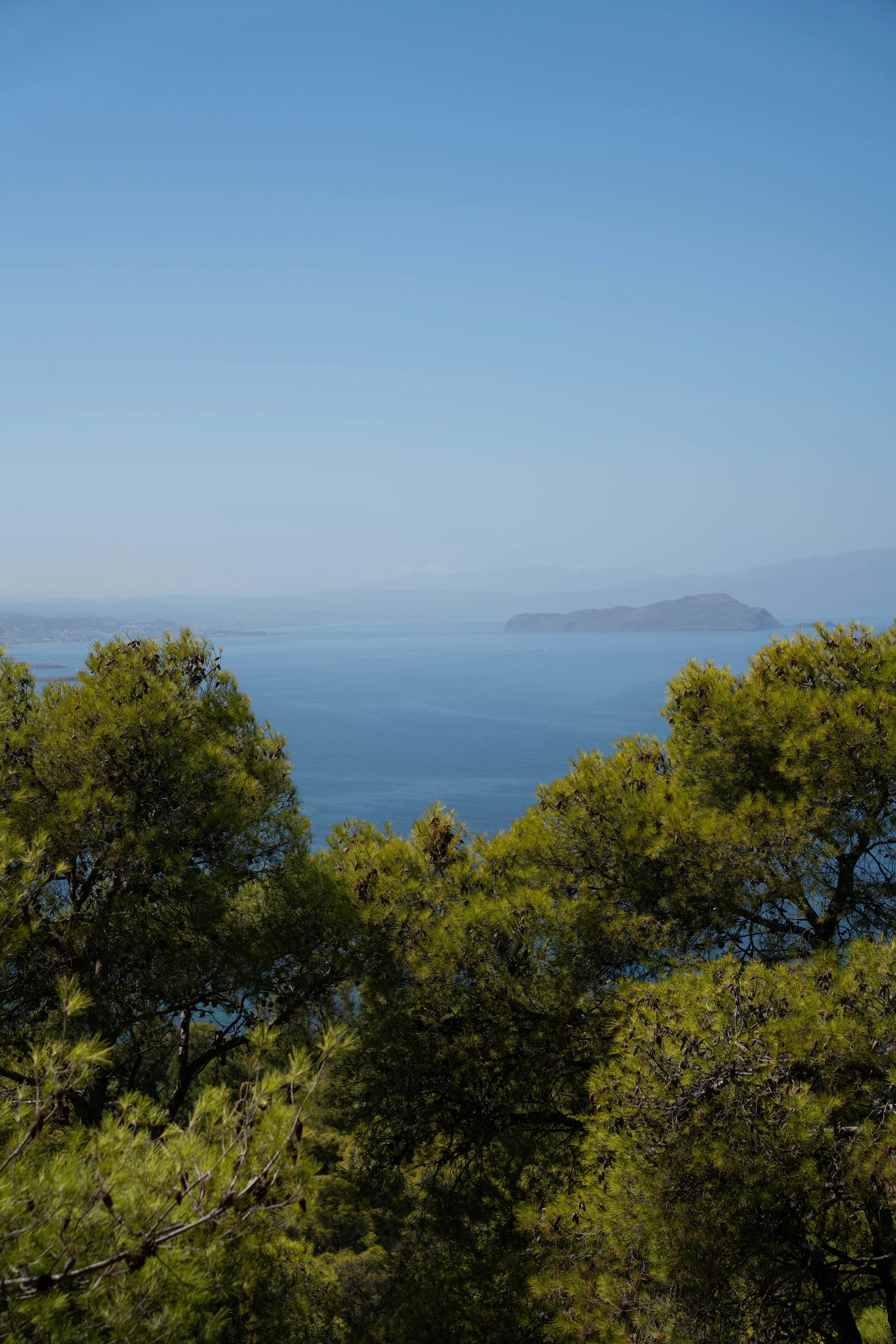 Photo by davidemrich