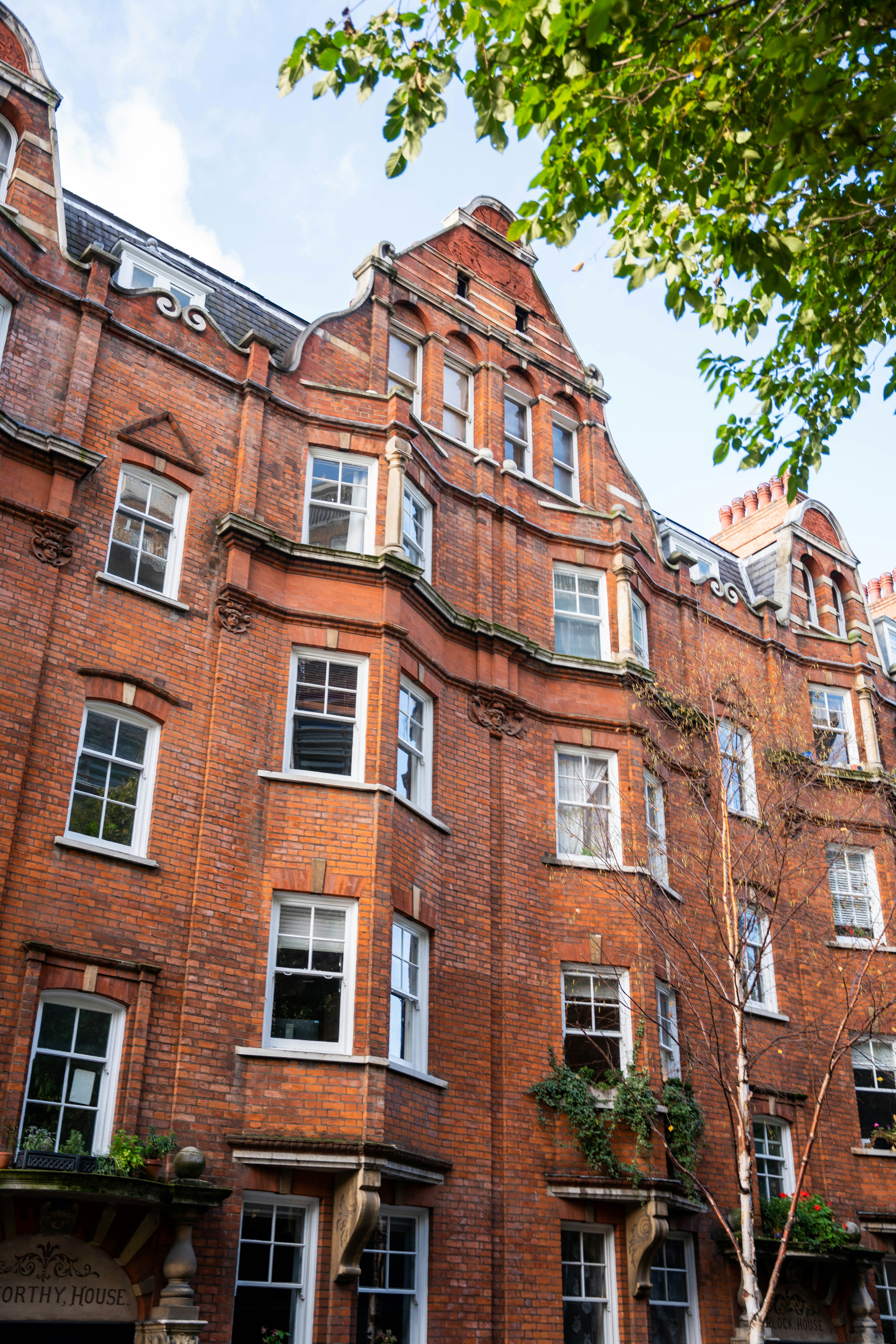 Photo by davidemrich