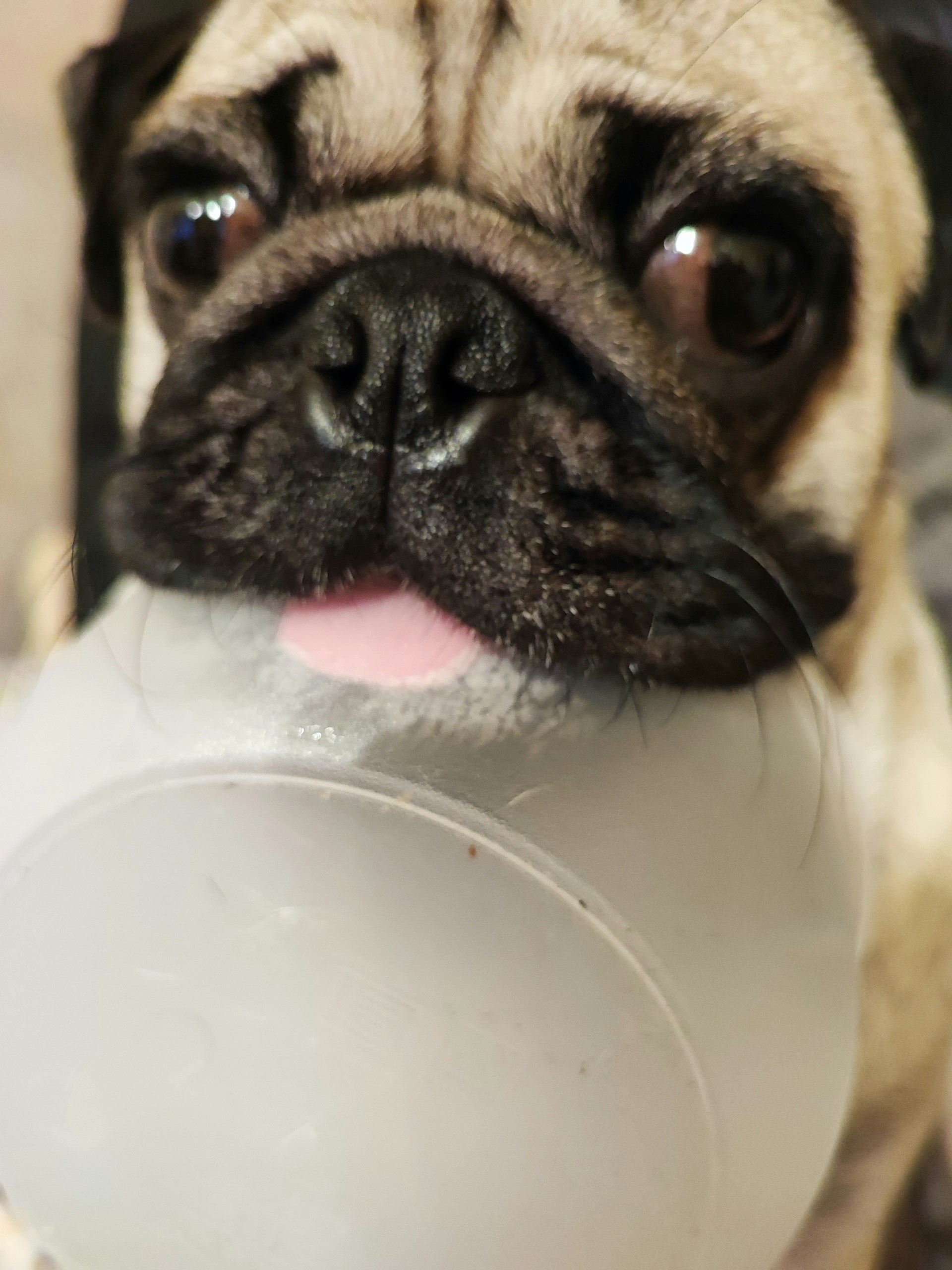 gray computer monitor