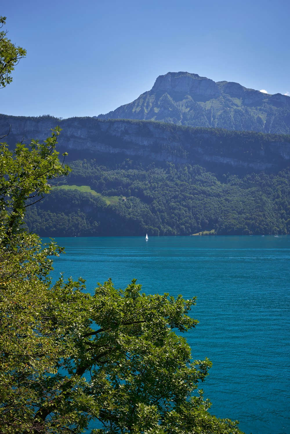 a body of water with trees and mountains in the background