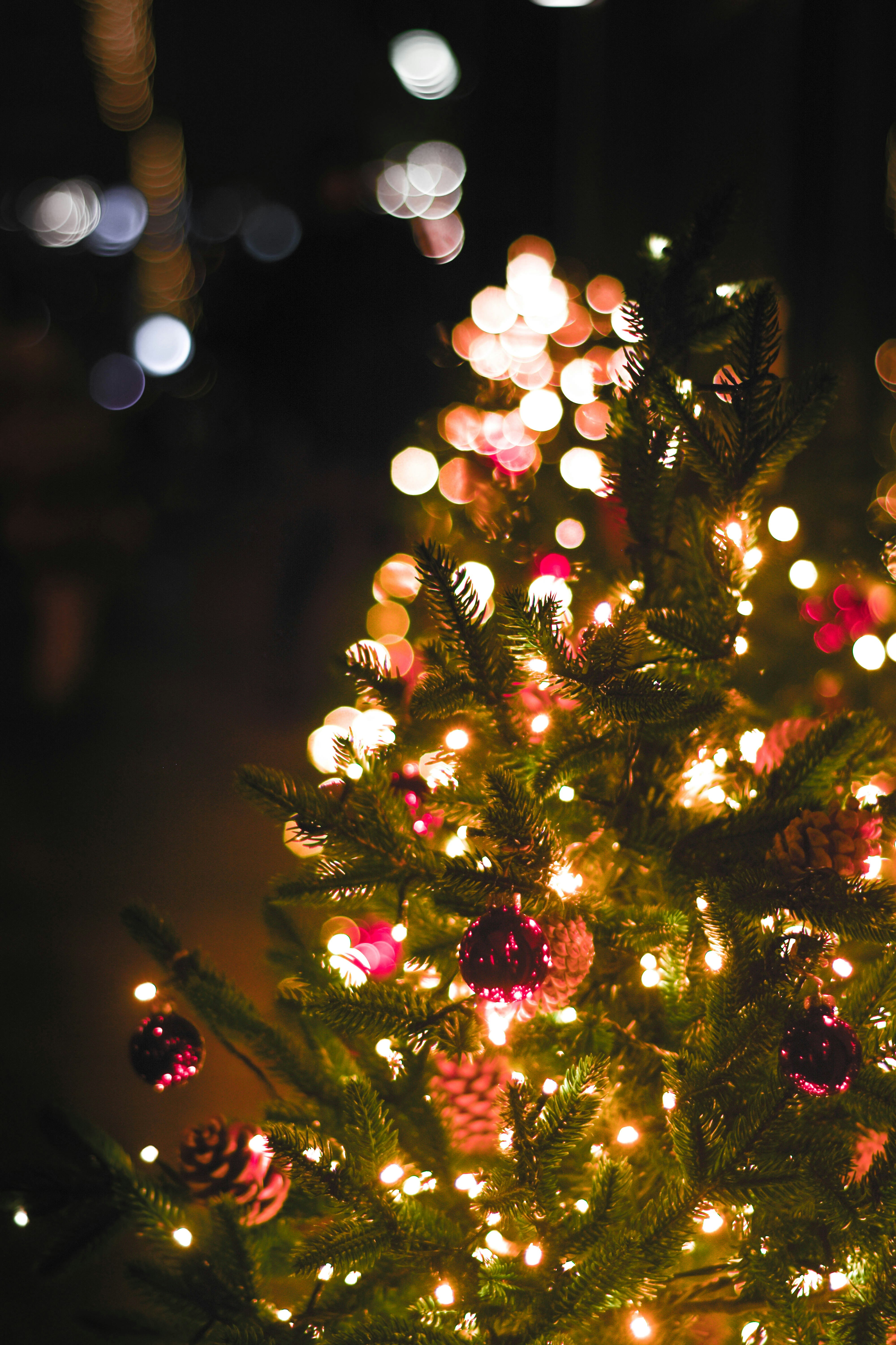 Photo by harutyunyan_ph