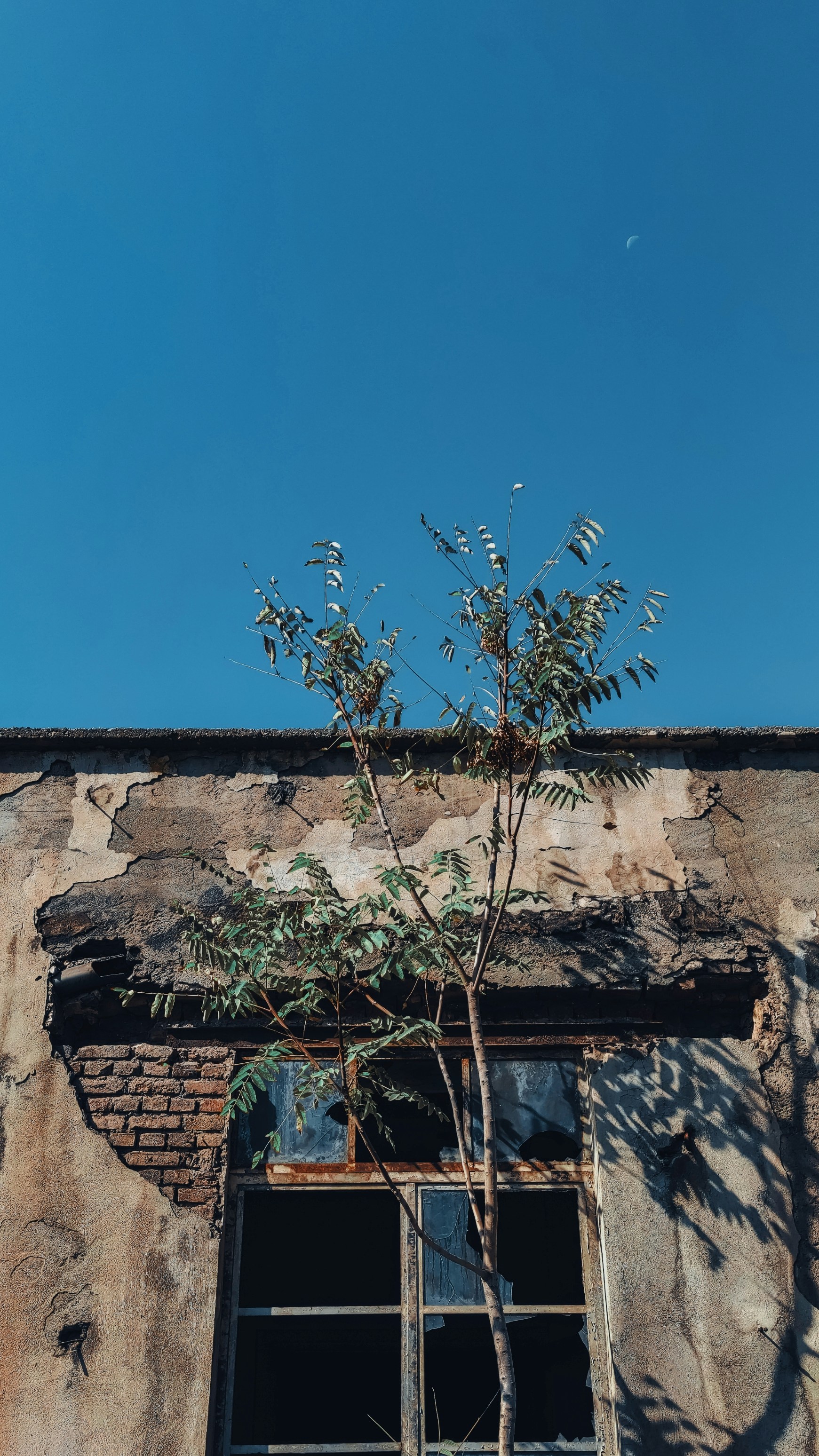 Photo by ramindjahanshahi