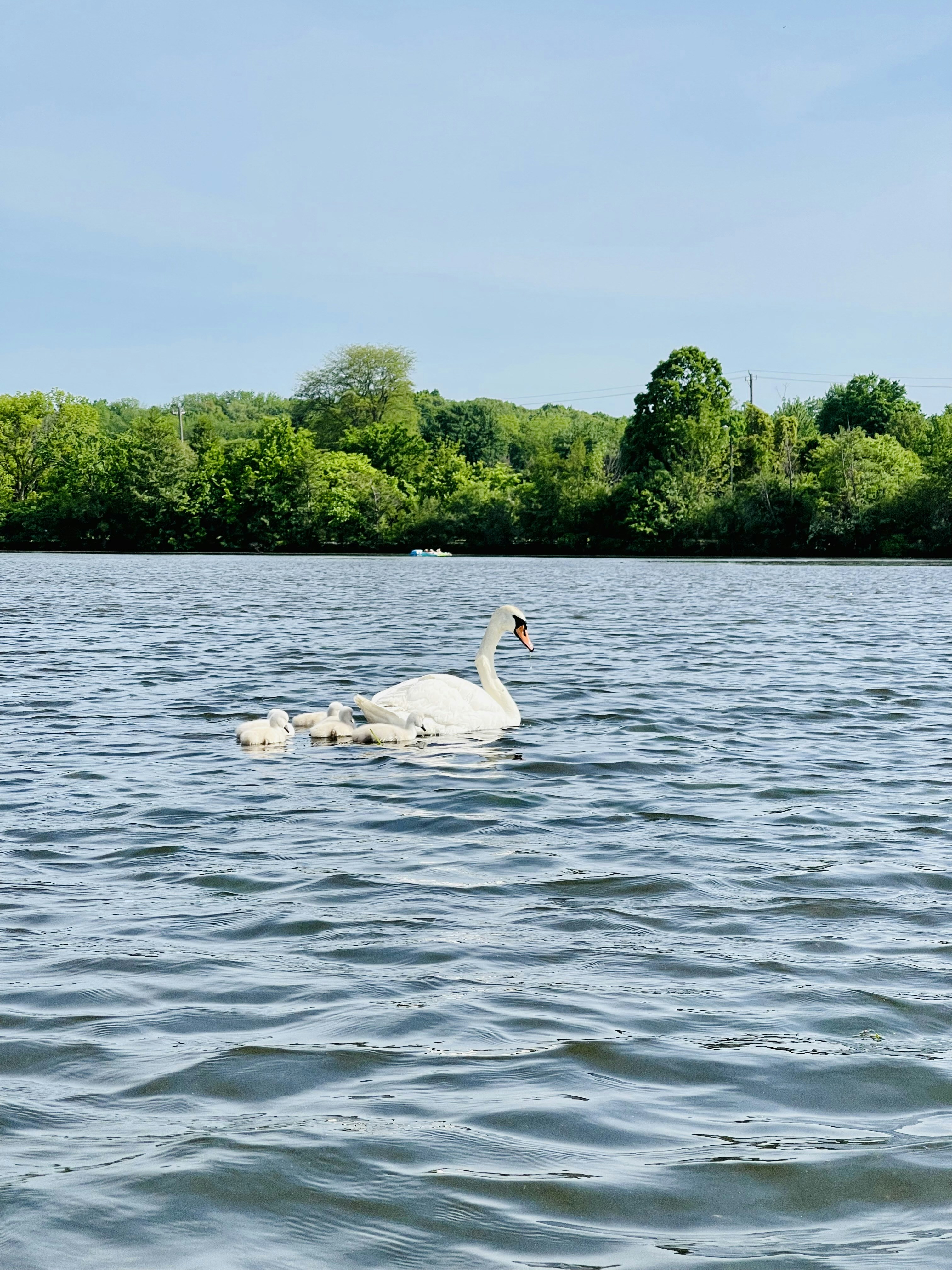 Kayaking on a calm, crystal-clear lake.