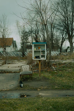 A small wooden ‘food house’ stocked with fresh vegetables and canned goods in a sunny neighborhood park.
