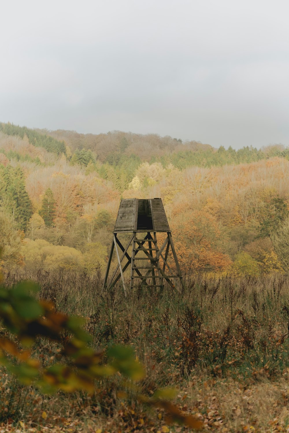 a structure in a field