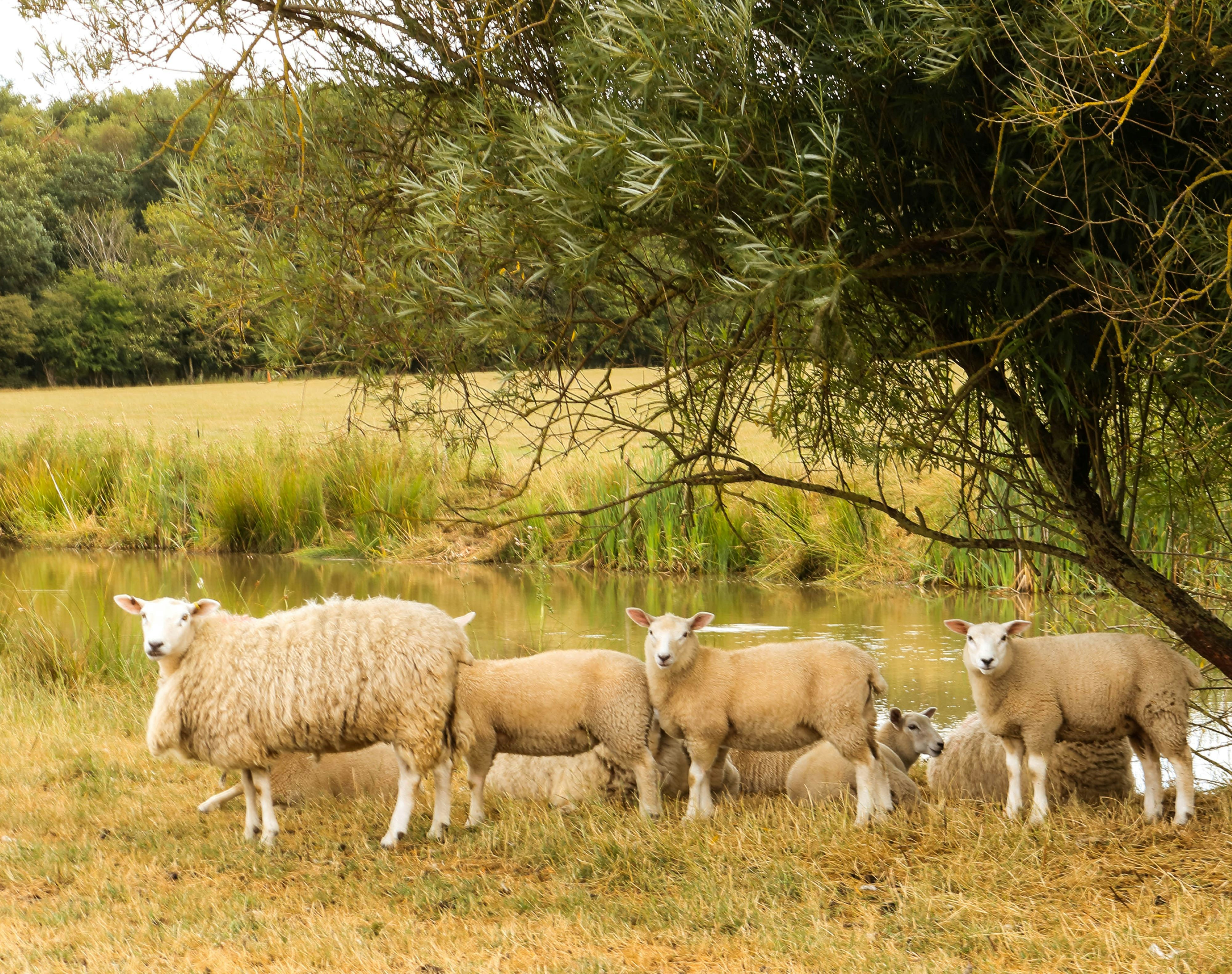 Photo by itscakefortea