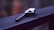 A long-handled lighter lies on a wooden surface, with a blurred background in soft, muted tones. The focus is on the lighter, highlighting its metallic and plastic components.