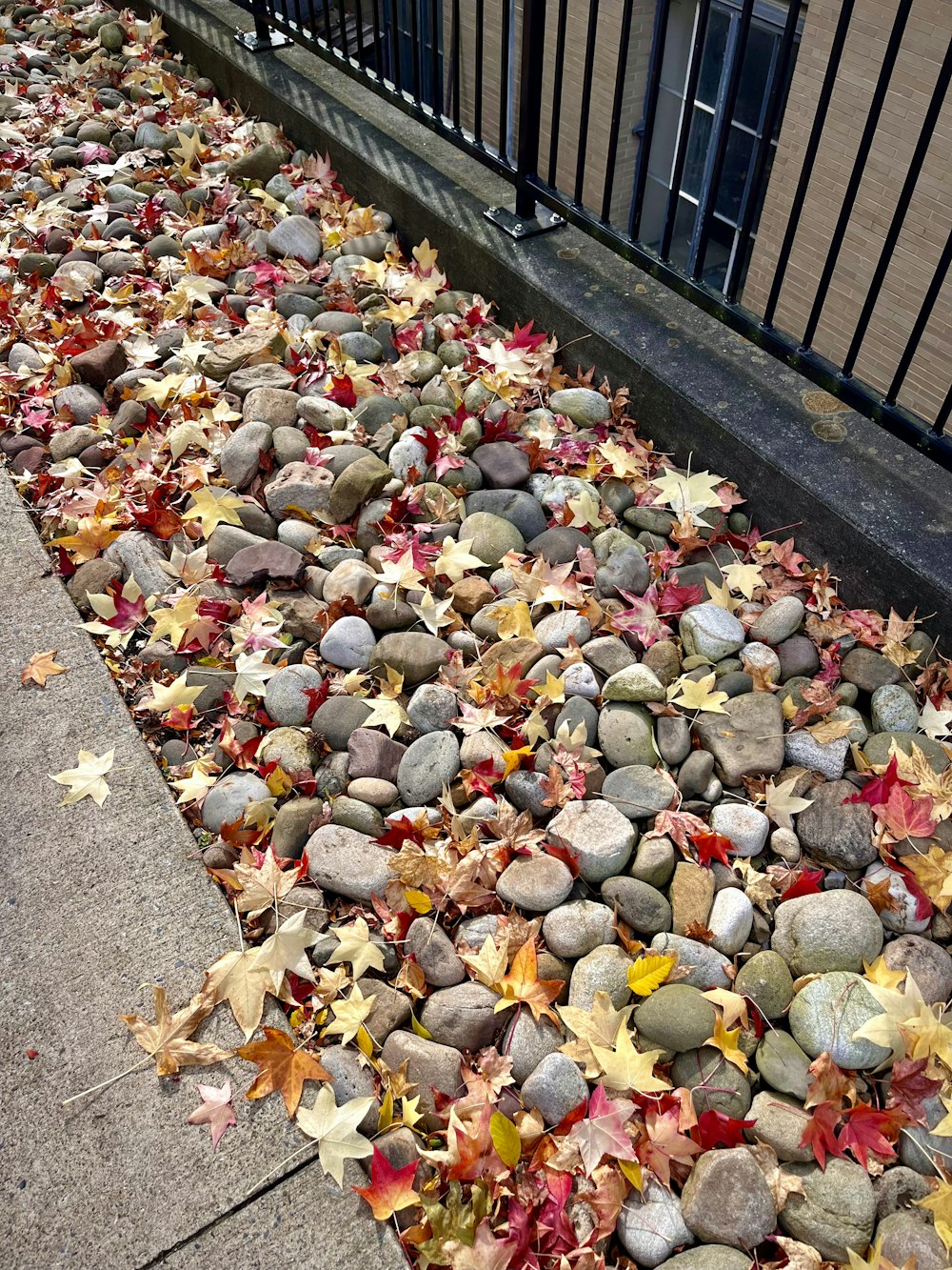 a pile of rocks