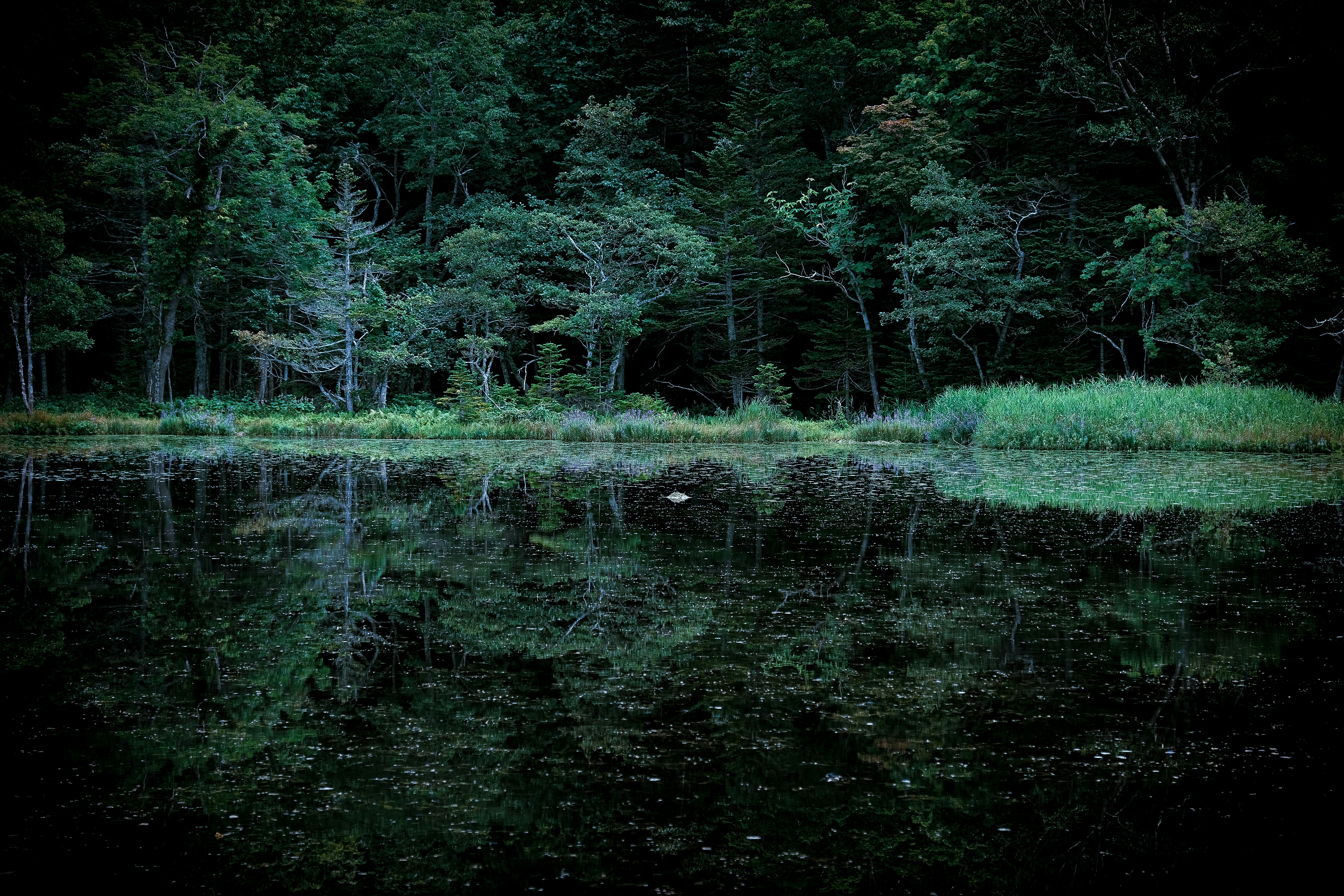 Photo by yamashita0129