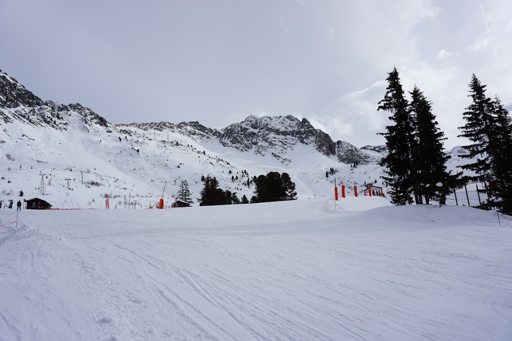 a snowy mountain with trees