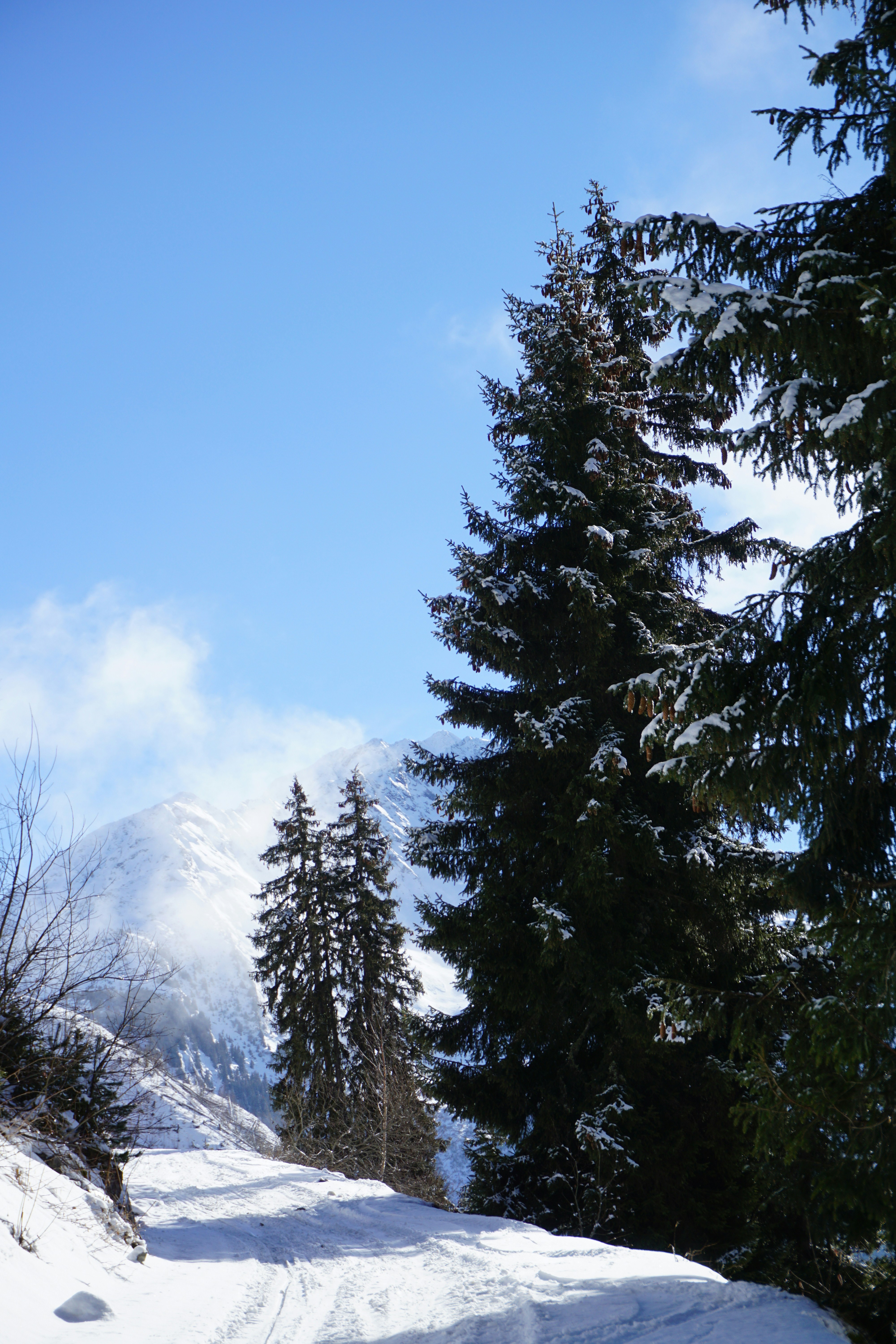 Esquiador en alta montaña