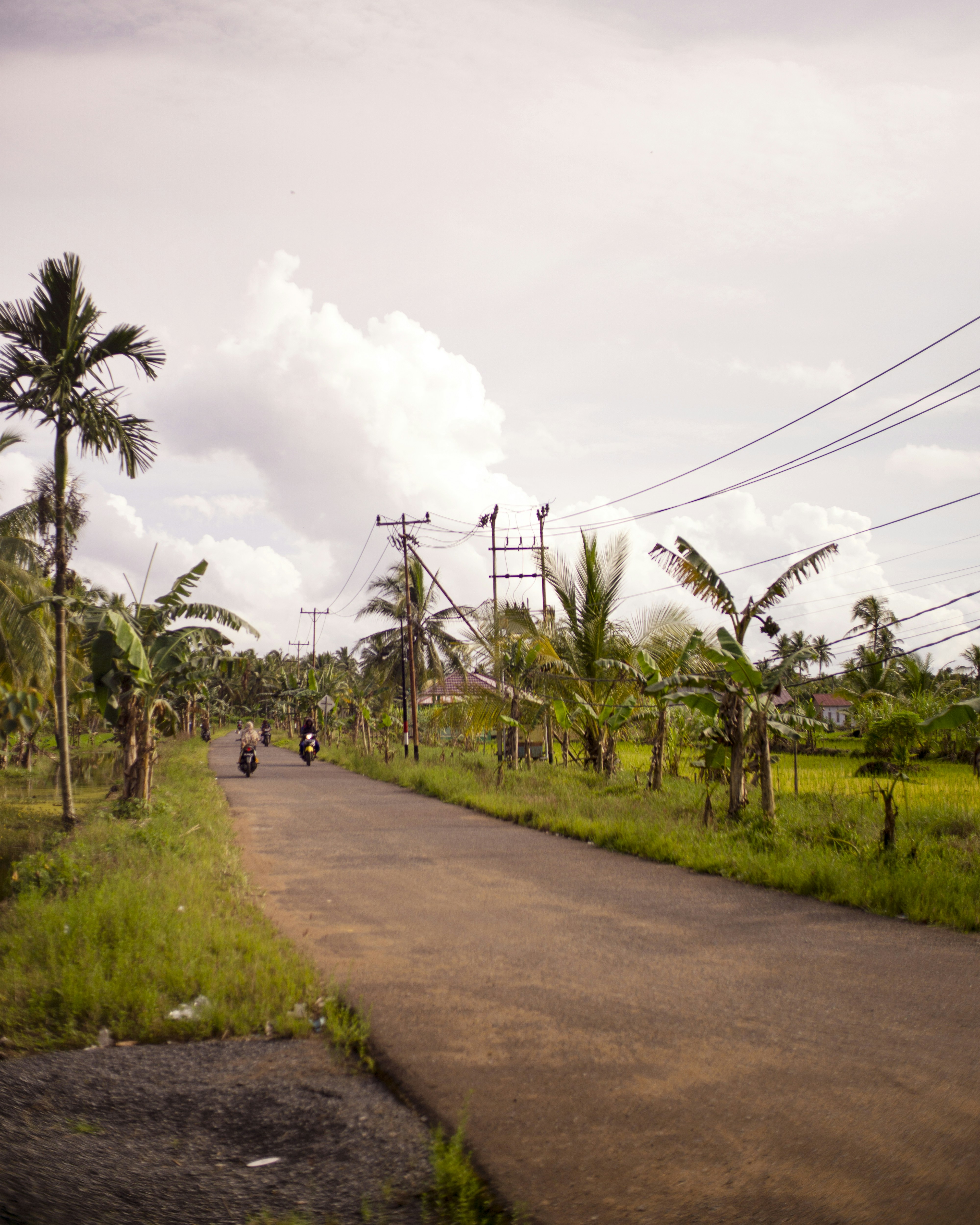 eine Person, die ein Motorrad auf einer Straße mit Bäumen auf beiden Seiten fährt