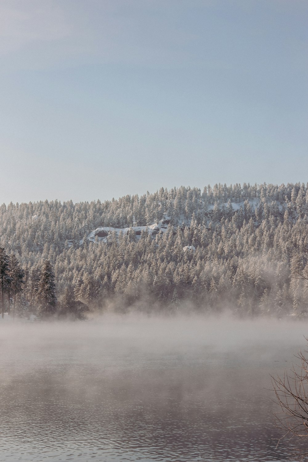 a lake with trees and a building in the distance